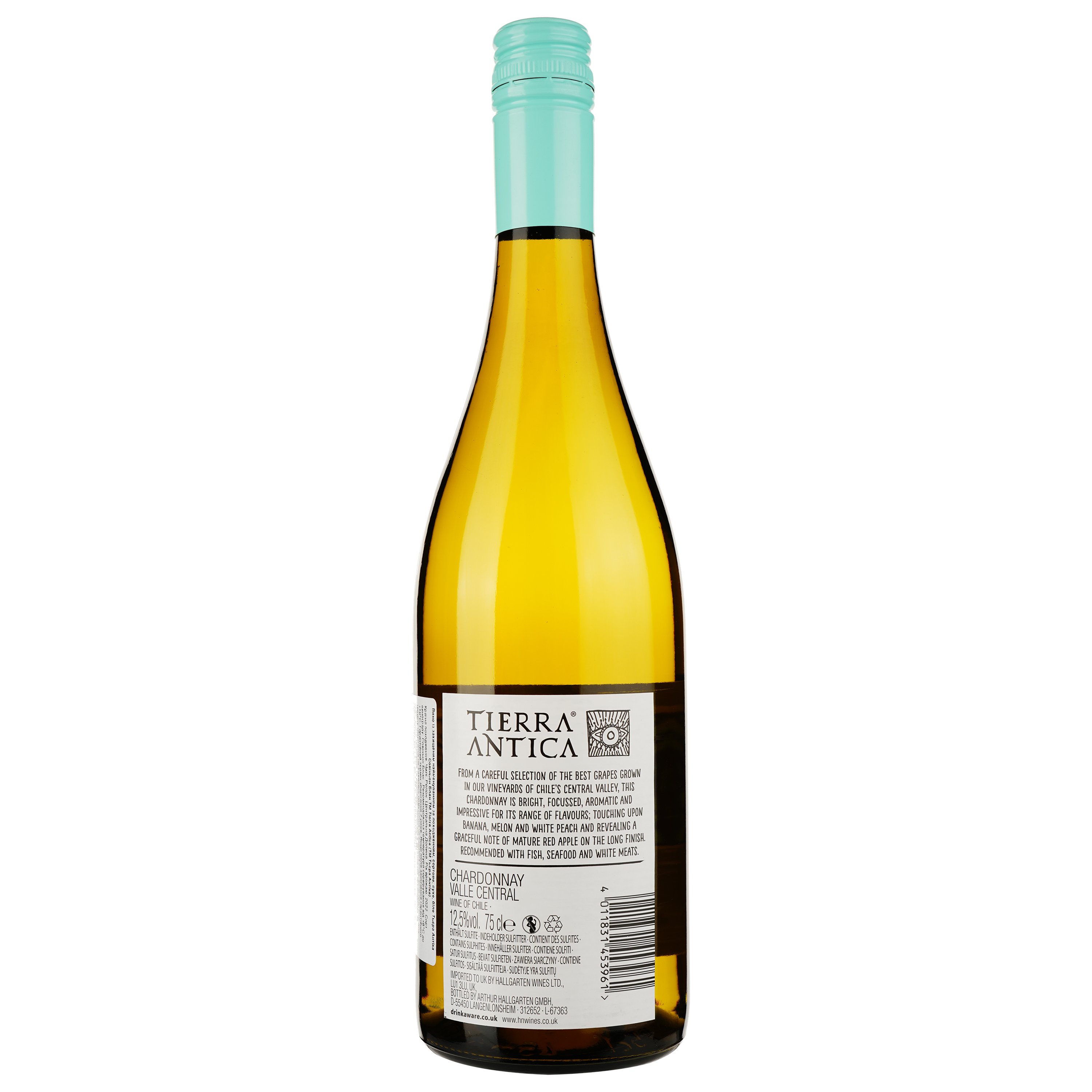 Вино Tierra Antica Chardonnay 2022 белое сухое 0.75 л - фото 2
