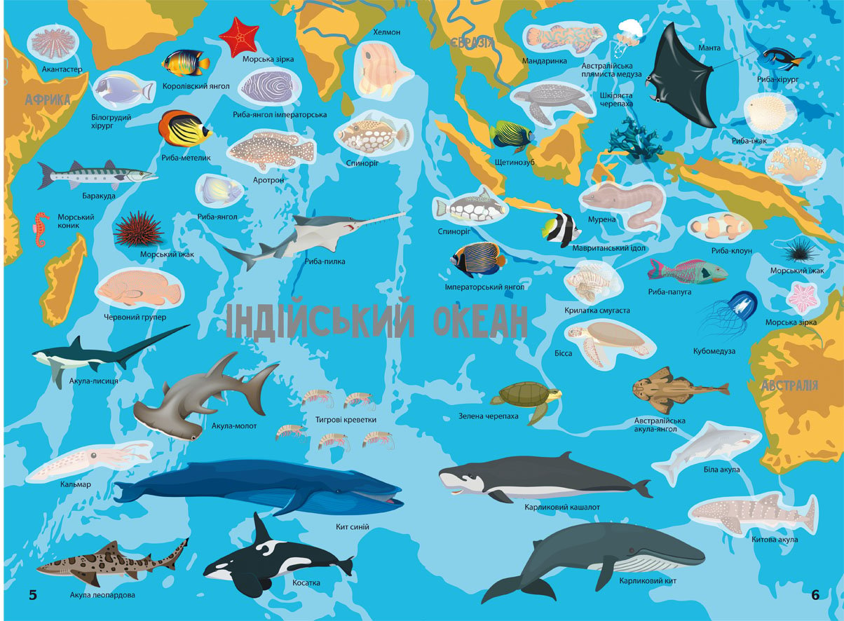 Книга Кристал Бук Атлас океанов с многоразовыми наклейками (F00022071) - фото 3