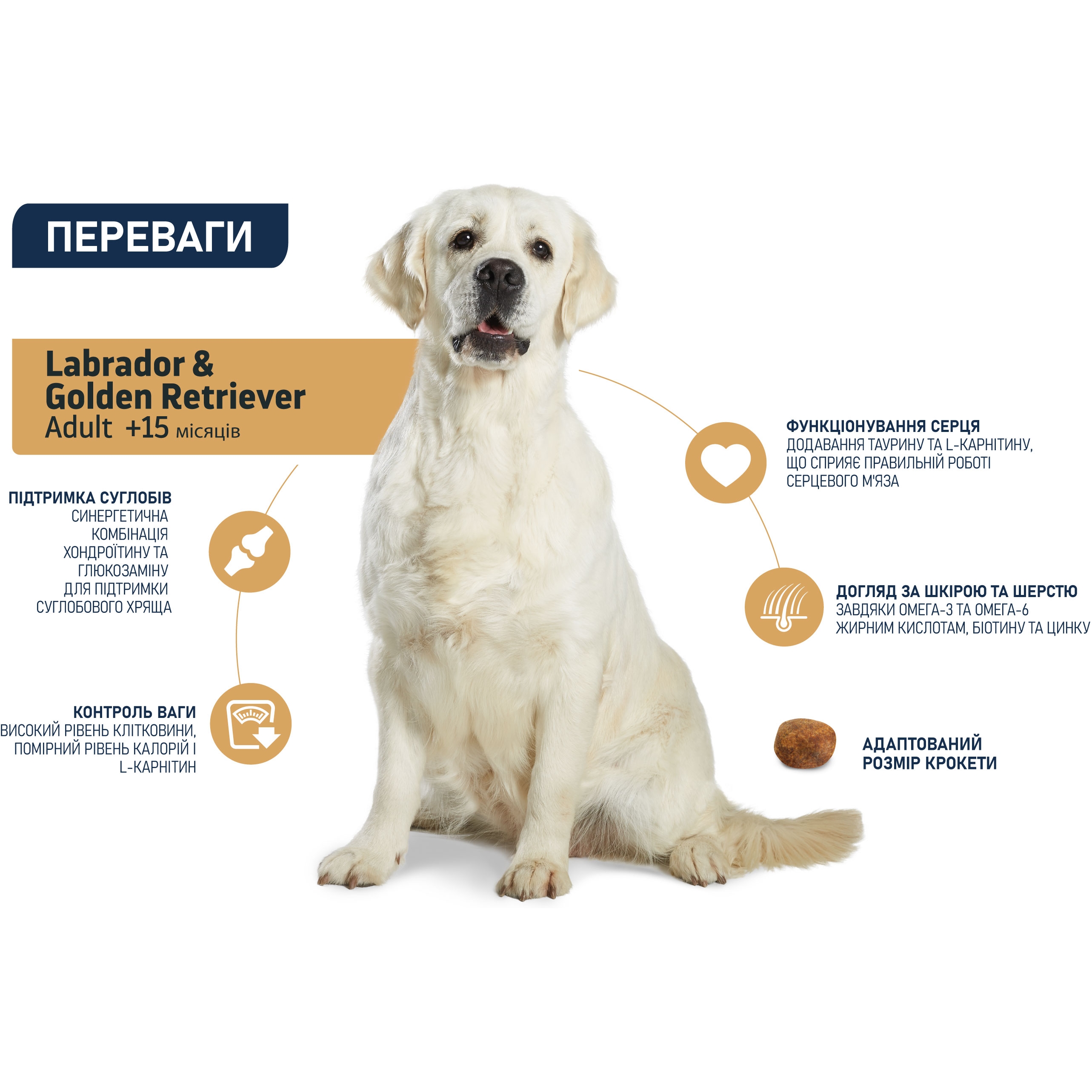 Сухой корм для собак Advance Dog Labrador & Golden Retriever с курицей 11.5 кг - фото 3