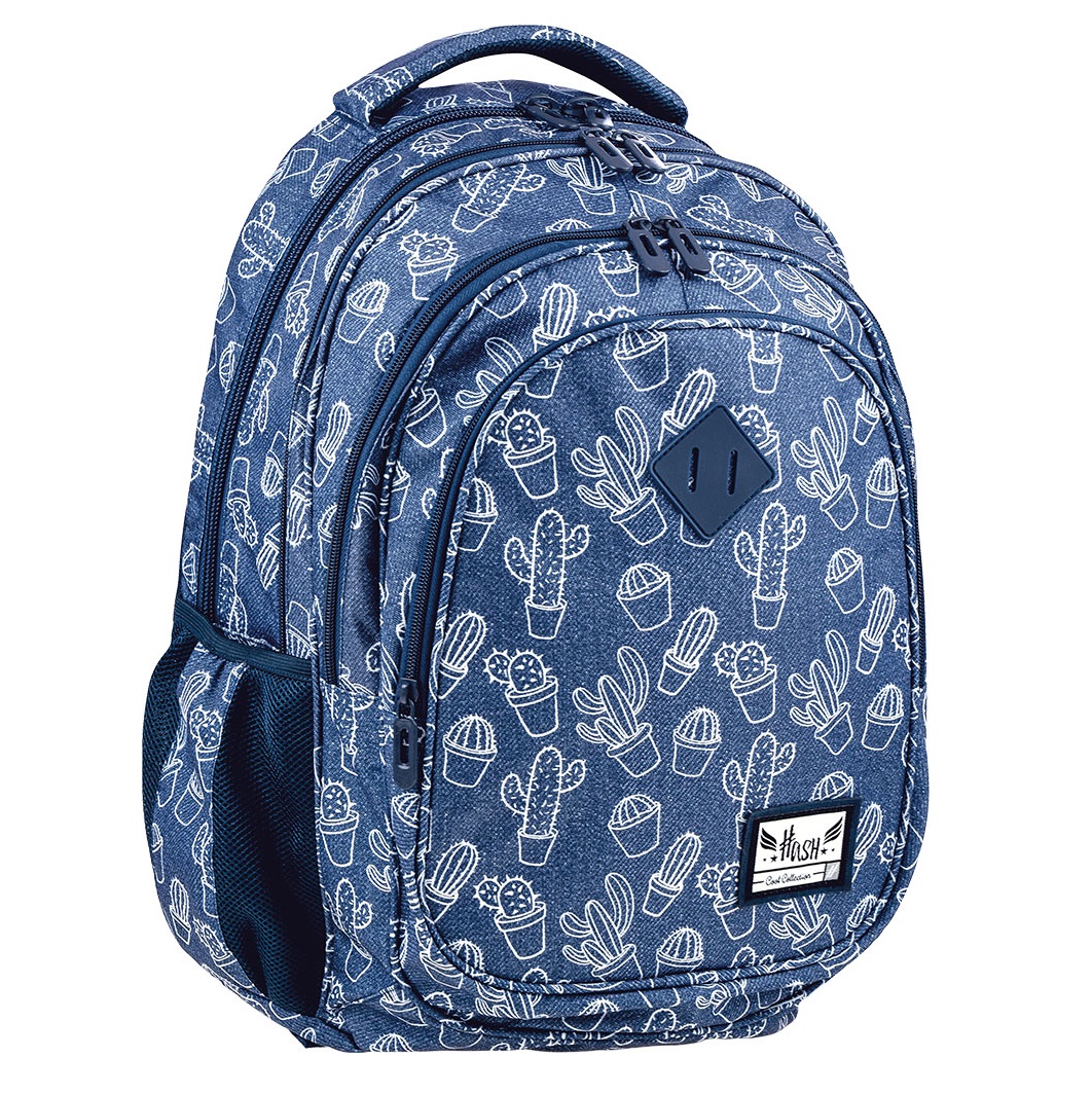 Фото - Шкільний рюкзак (ранець) Hash Рюкзак  3 HS-233, 45x31х19 см  (502020054)