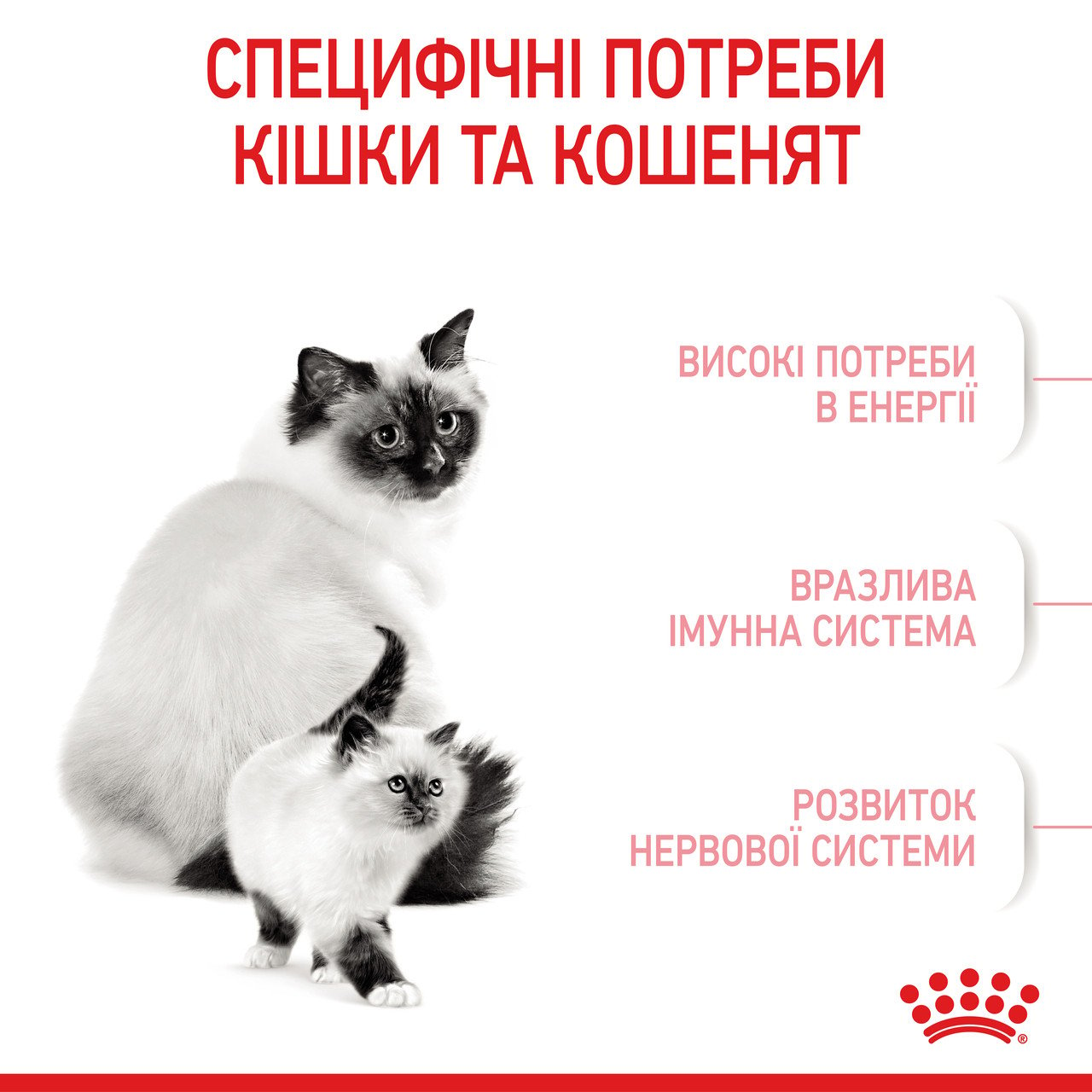 Сухой корм для котят Royal Canin Mother and Babycat, мясо птицы и рис, 0,4 кг - фото 4