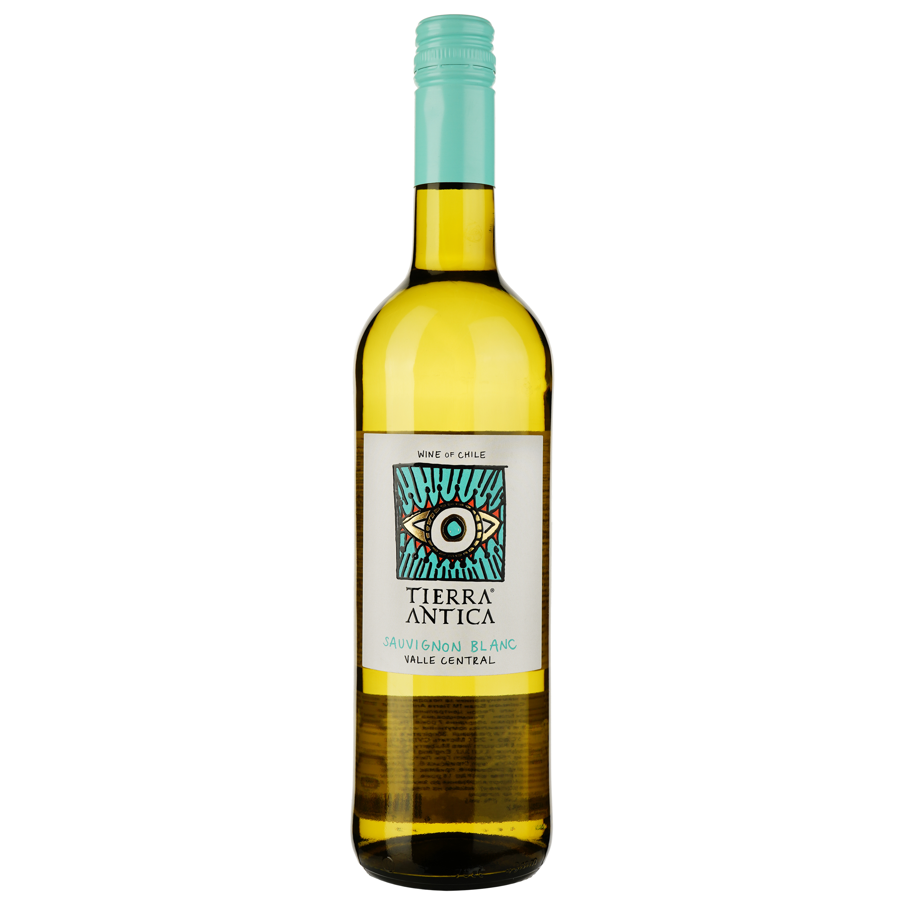 Вино Tierra Antica Sauvignon Blanc 2022 белое сухое 0.75 л - фото 1