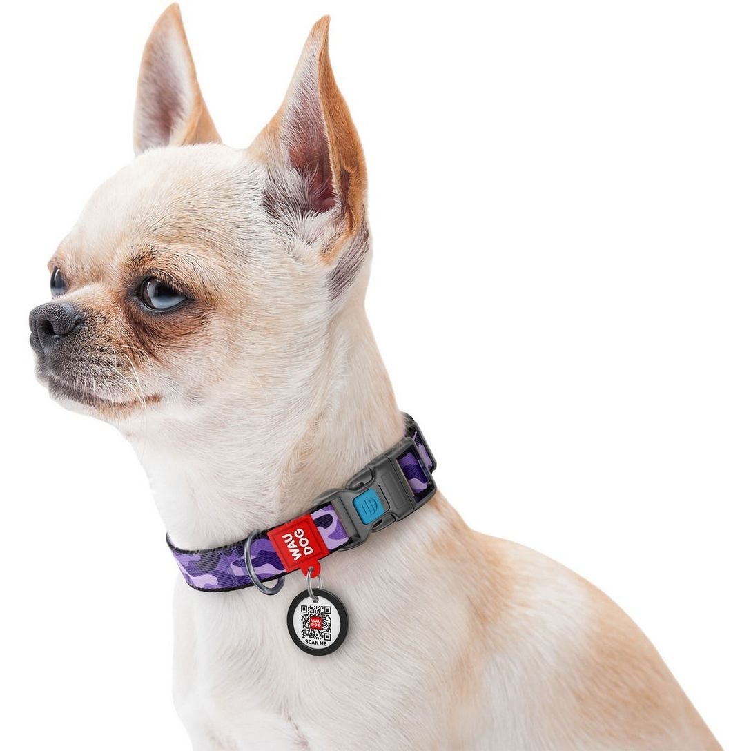Нашийник для собак Waudog Nylon Фіолетовий камо, з QR паспортом, пластиковий фастекс, 35-58х2, 5 см - фото 4