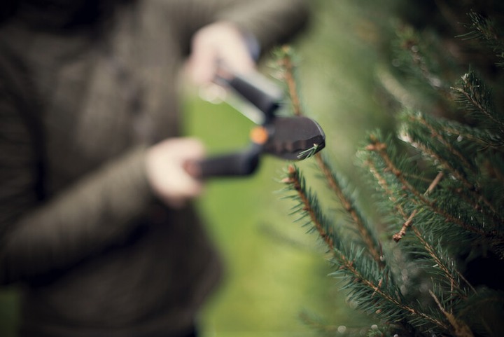 Ножиці Fiskars SingleStep для живої огорожі (1001433) - фото 5