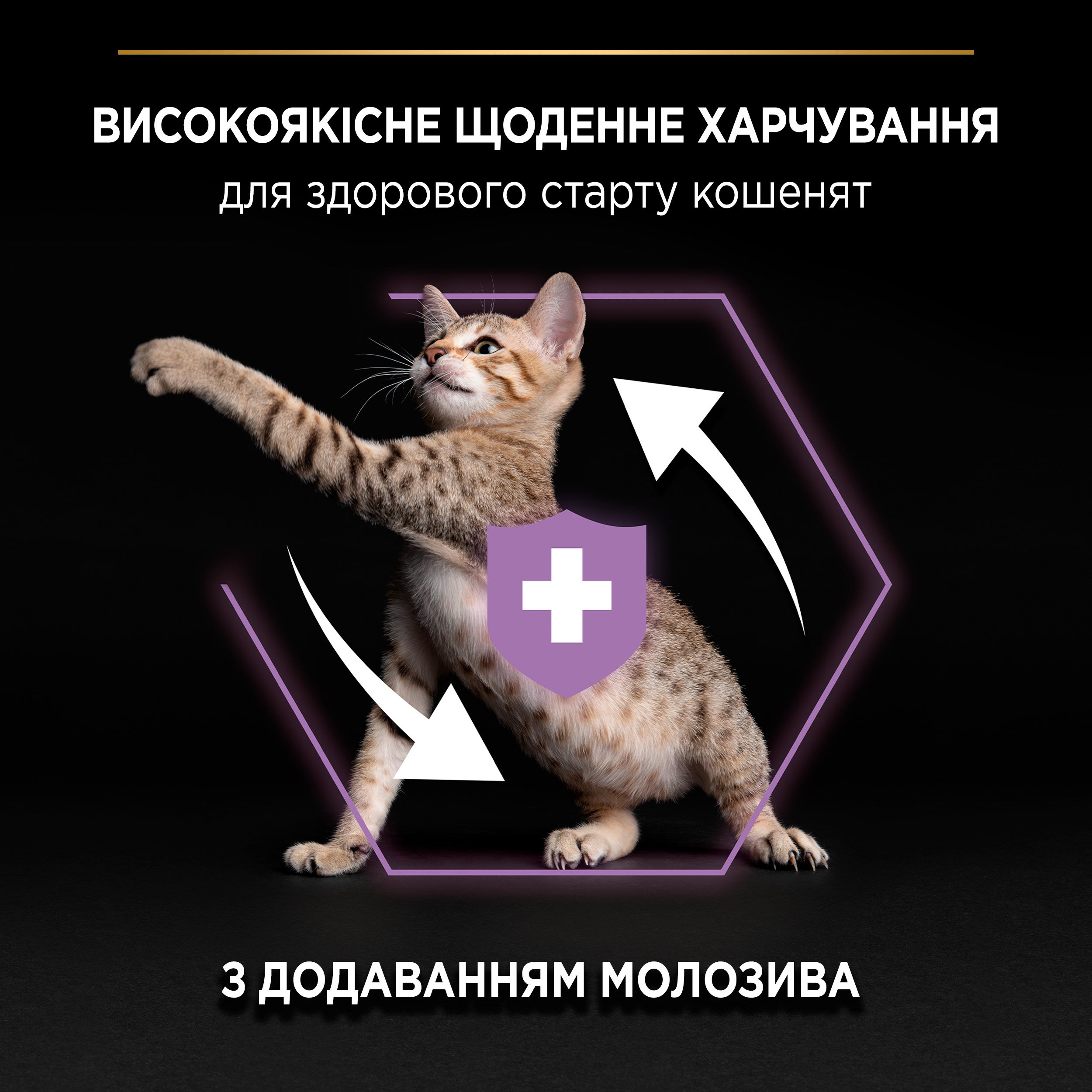 Сухий корм для кошенят Purina Pro Plan Kitten <1 Healthy Start з куркою 1.5 кг (12369475) - фото 5