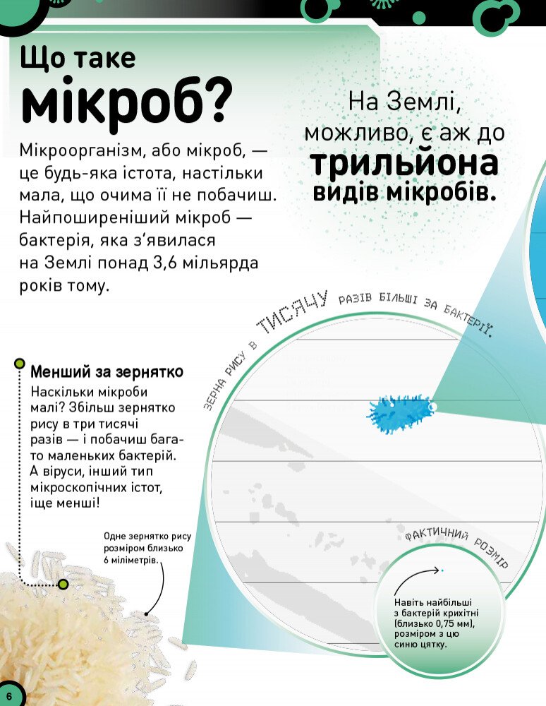 Книга Ранок Небачені бактерії. Зухвалі бацили, підступні віруси та хитрі гриби - Стів Молд (Н902036У) - фото 4