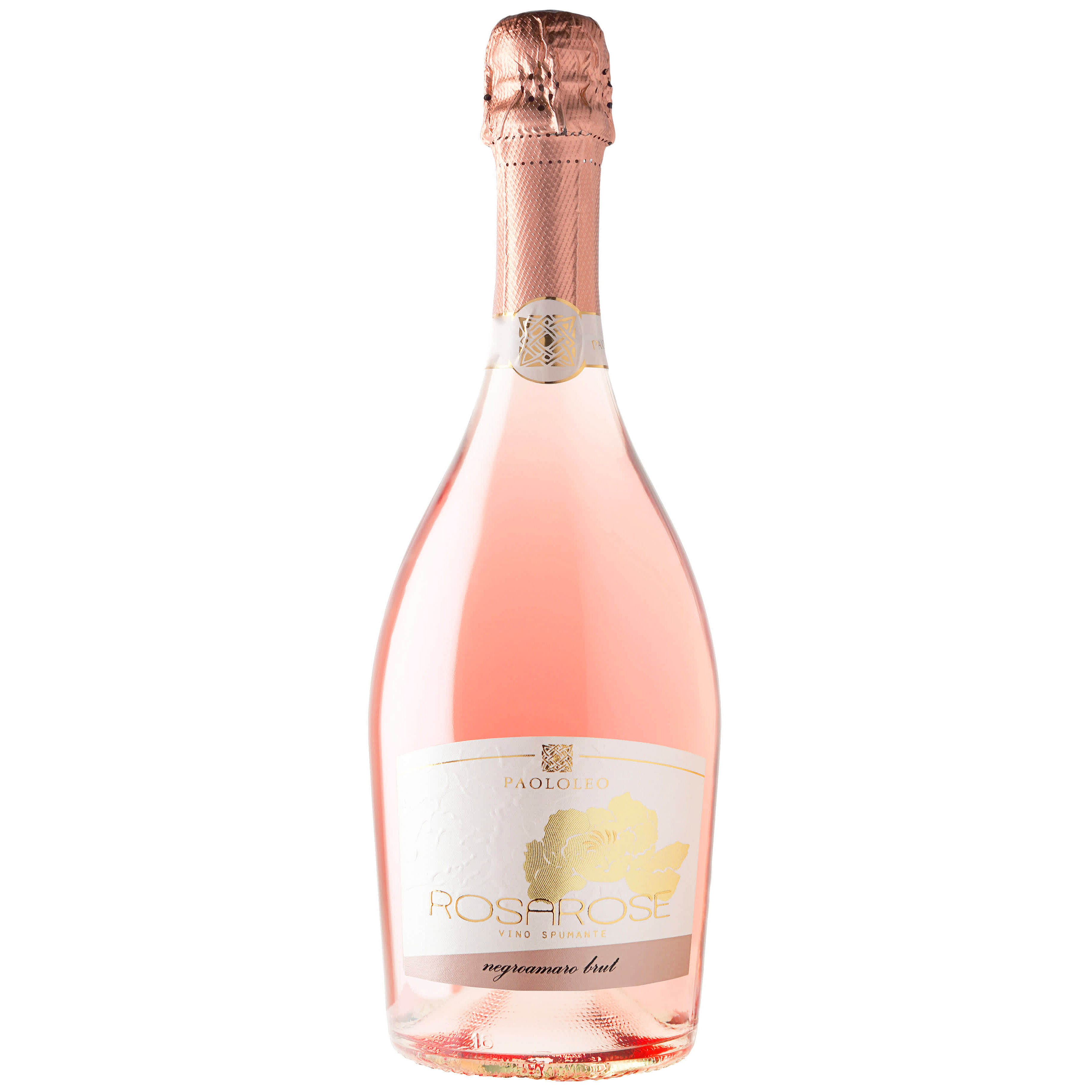 Вино ігристе Paololeo RosaRose Negroamaro Brut Spumante Rose рожеве брют 1.5 л - фото 1