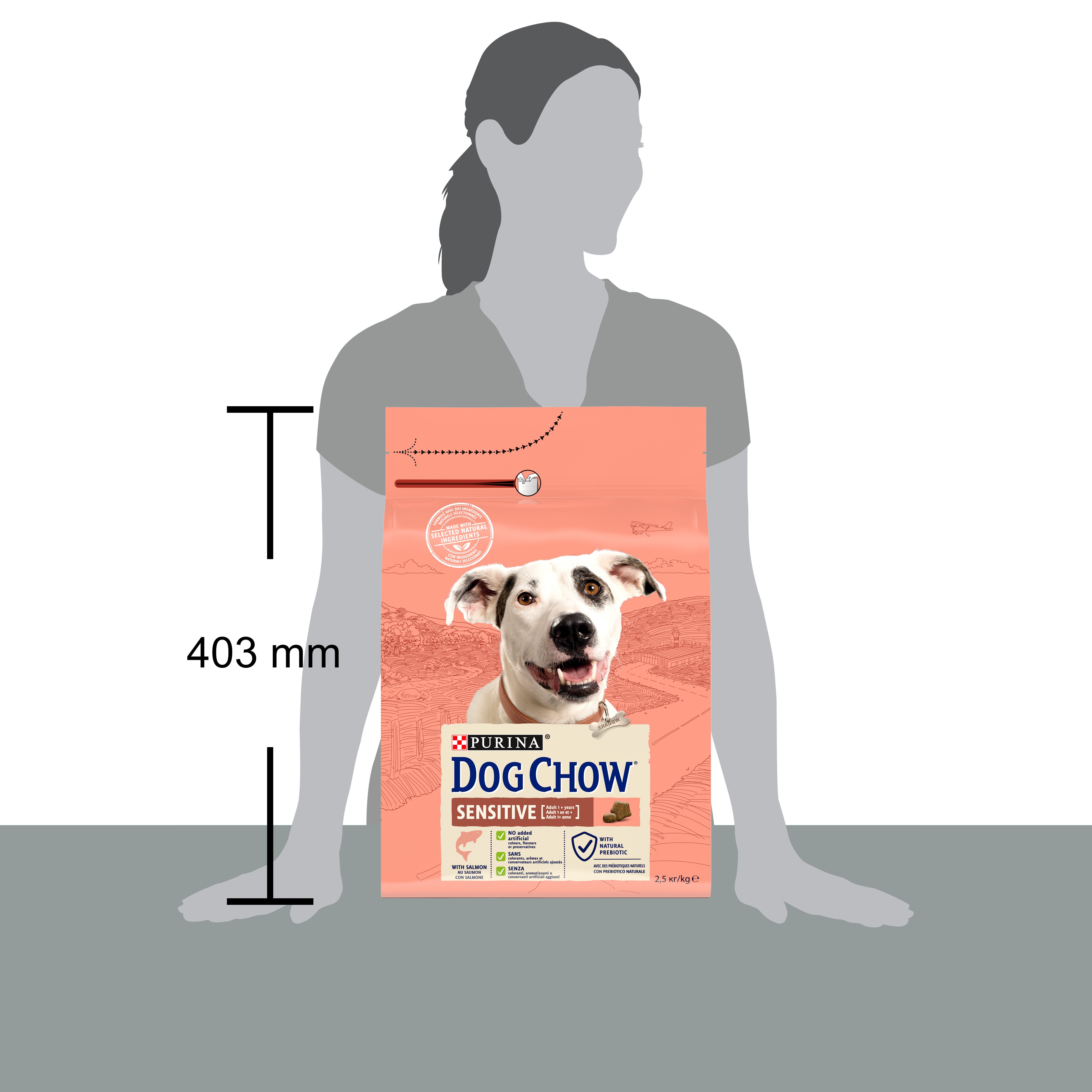 Сухой корм для собак с чувствительным пищеварением Dog Chow Sensitive Adult 1+, с лососем, 2,5 кг - фото 4