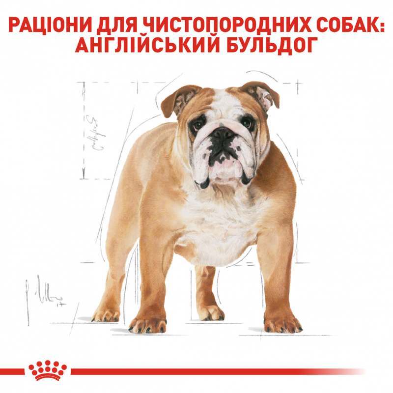 Сухой корм для взрослых собак породы Бульдог Royal Canin Bulldog Adult 12 кг (2590120) - фото 3