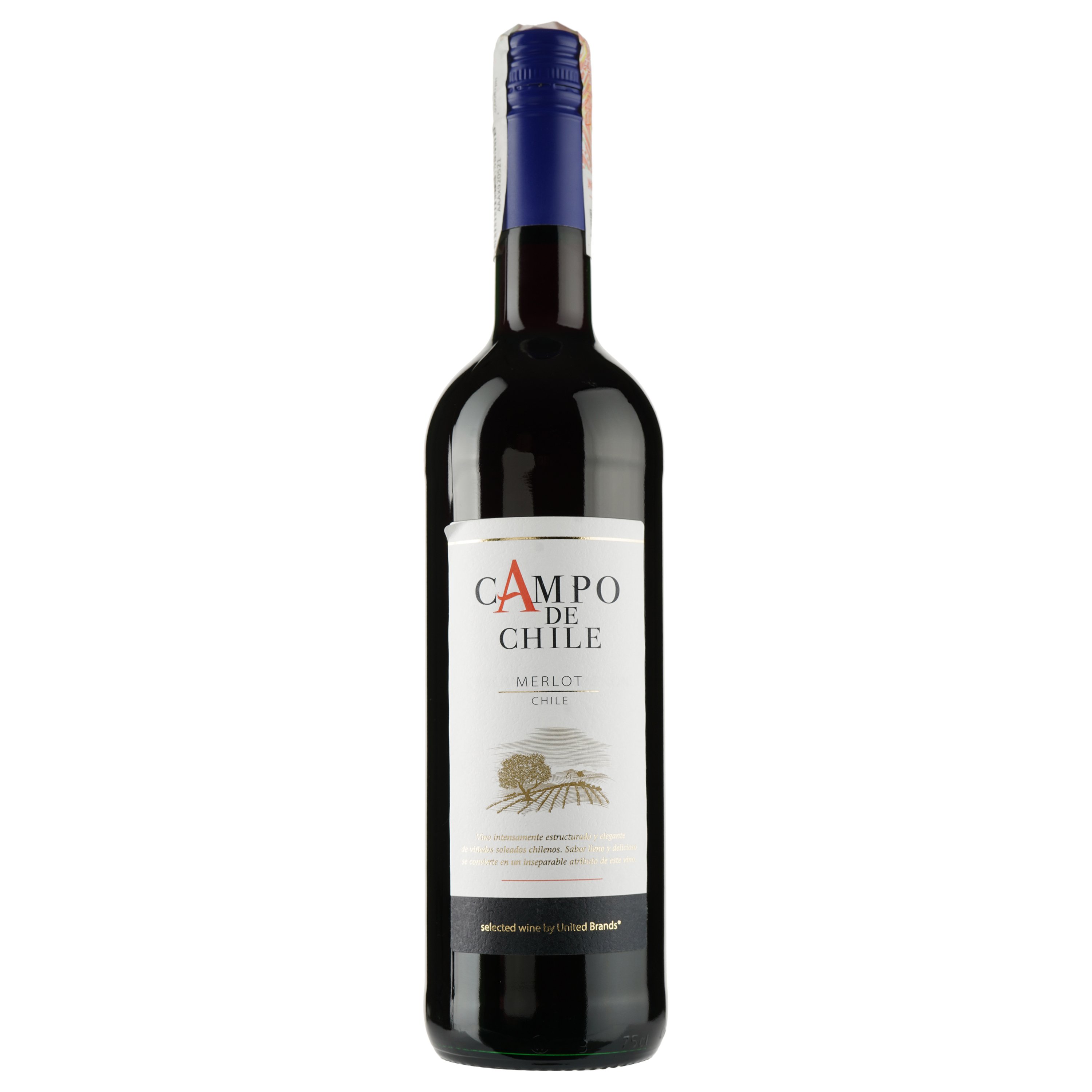 Вино Campo de Chile Merlot, червоне, сухе, 13%, 0,75 л - фото 1