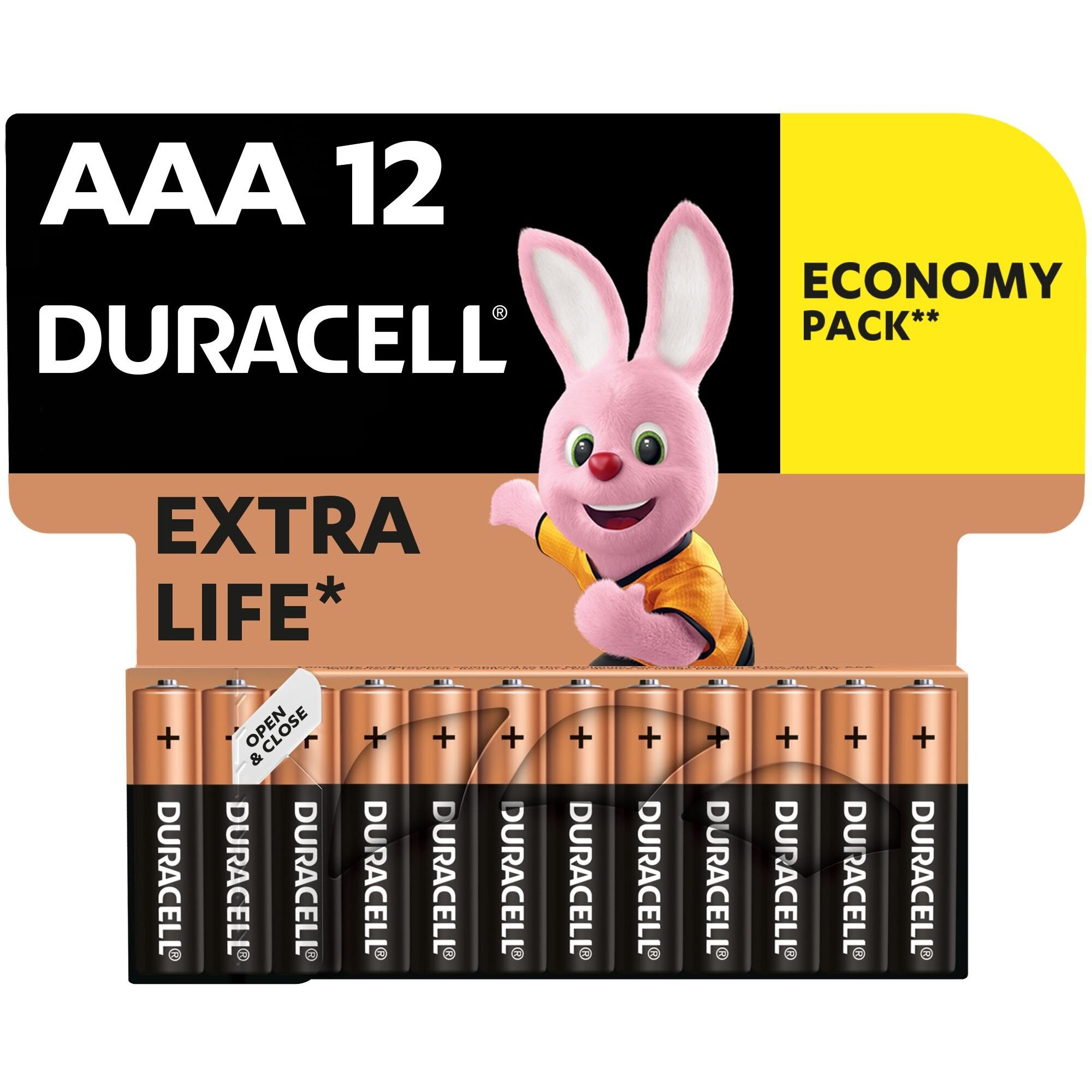 Лужні батарейки мізинчикові Duracell 1,5 V AAA LR03/MN2400, 12 шт. - фото 1