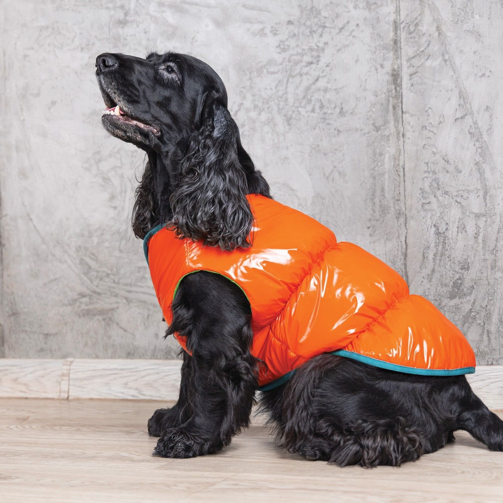 Жилет Pet Fashion Spring XS2 оранжевый - фото 4