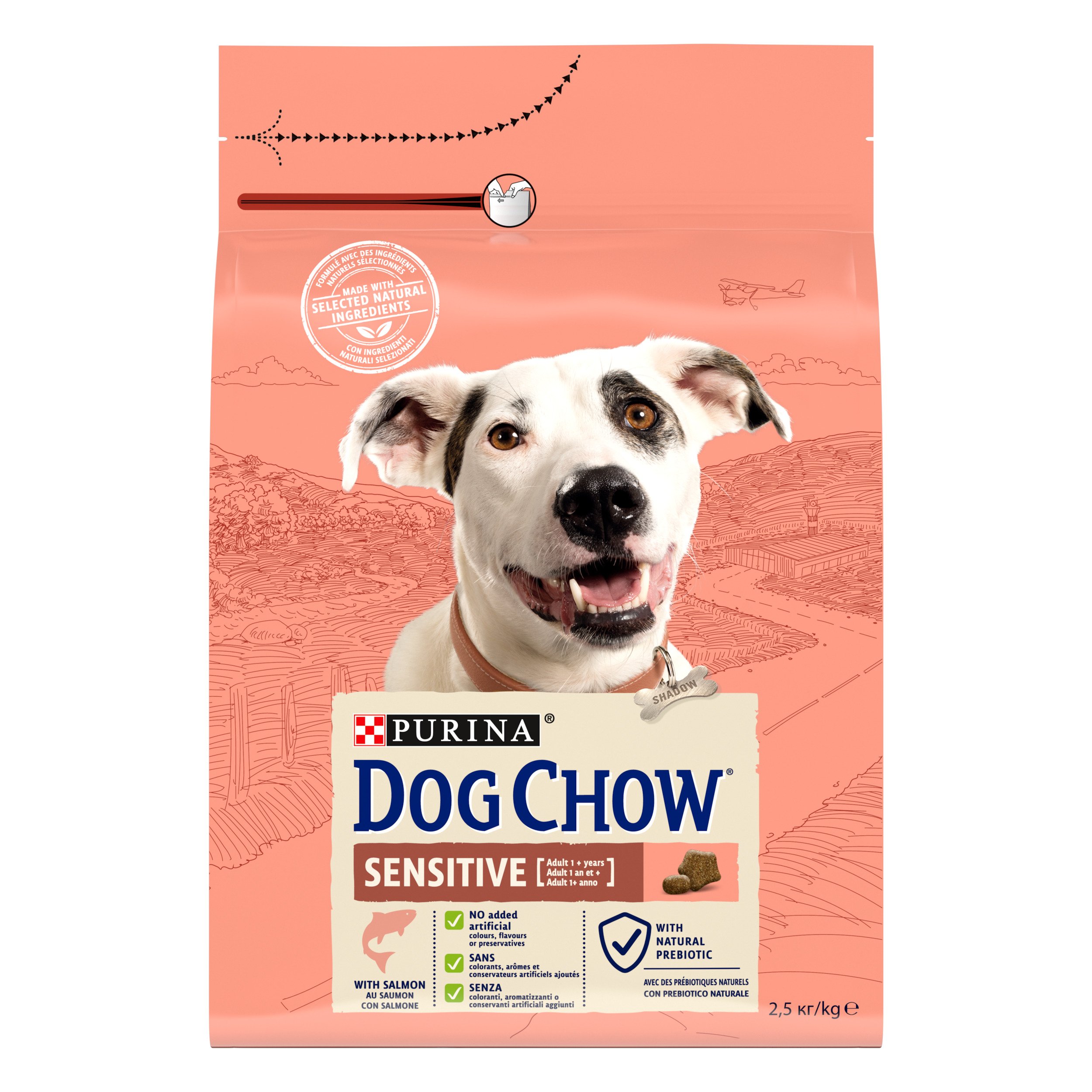 Сухой корм для собак с чувствительным пищеварением Dog Chow Sensitive Adult 1+, с лососем, 2,5 кг - фото 1