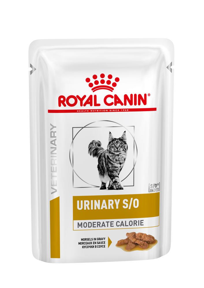 Фото - Корм для кішок Royal Canin Вологий корм для дорослих котів при захворюваннях нижніх сечовивідних шлях 