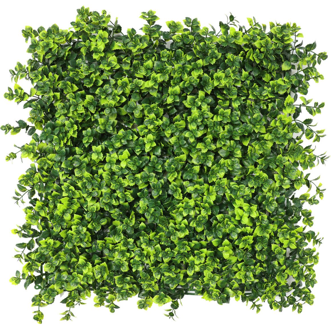 Декоративное зеленое покрытие Engard Патио 50х50 см (GCK-27) - фото 1