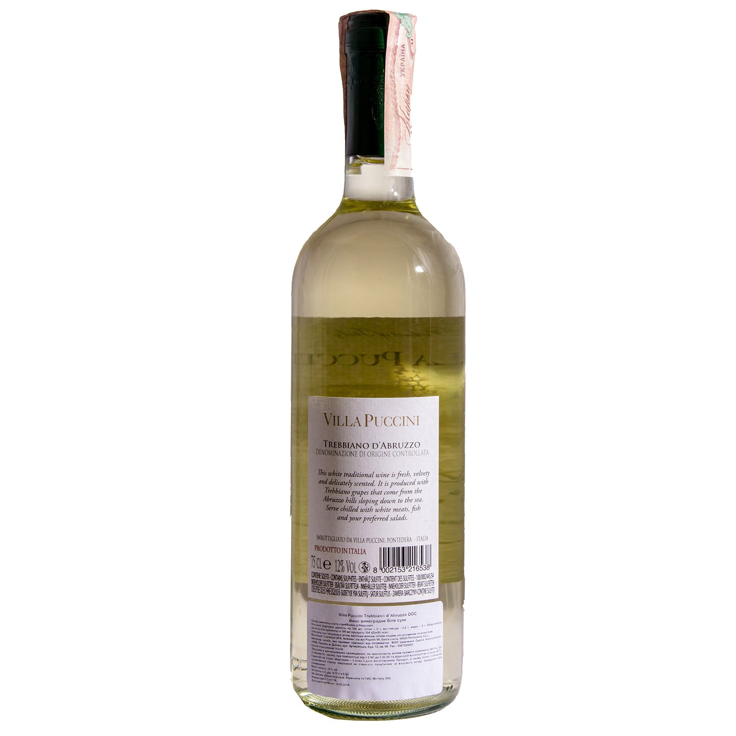 Вино Villa Puccini Trebbiano d’Abruzzo DOC, белое, сухое, 0,75 л - фото 2