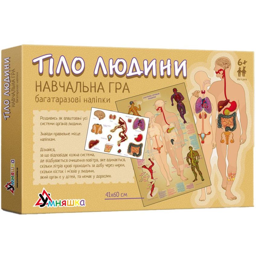 Игра обучающая с многоразовыми наклейками Тело человека укр. (КП-004у) KP-004y - фото 1