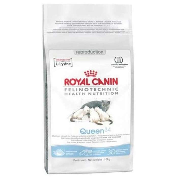 Сухий корм для кішок у період вагітності та лактації Royal Canin Queen, 4 кг (2570040) - фото 1