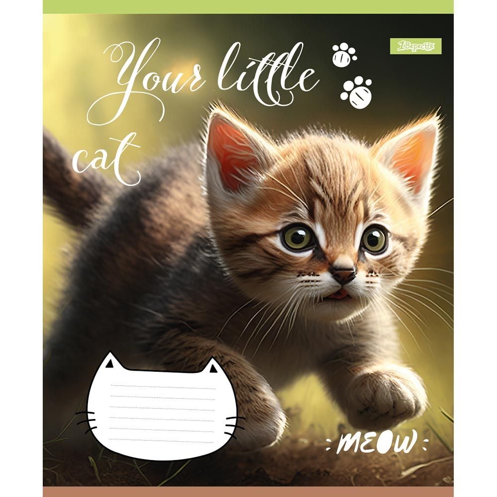 Набор тетрадей 1 Вересня Your little cat, в линию, 12 листов, 25 шт. (766537) - фото 4