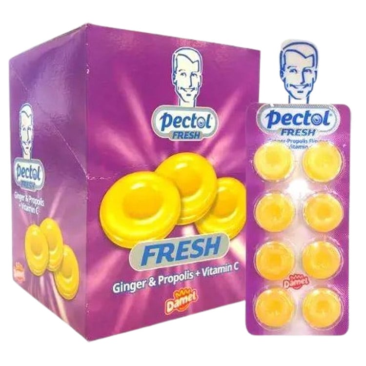 Леденцы Damel Pectol Ginger & Propolis 20 г - фото 1