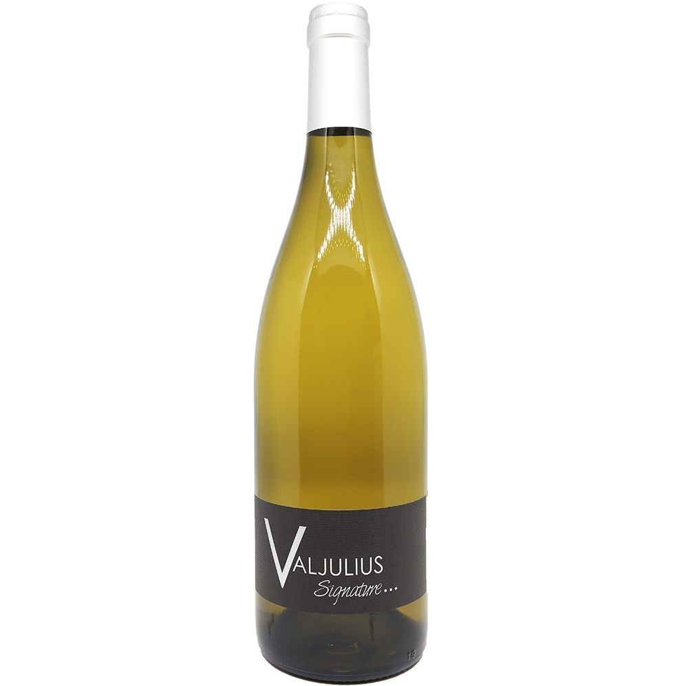Вино Domaine Valjulius Signature Blanc 2022 белое сухое 0.75 л - фото 1