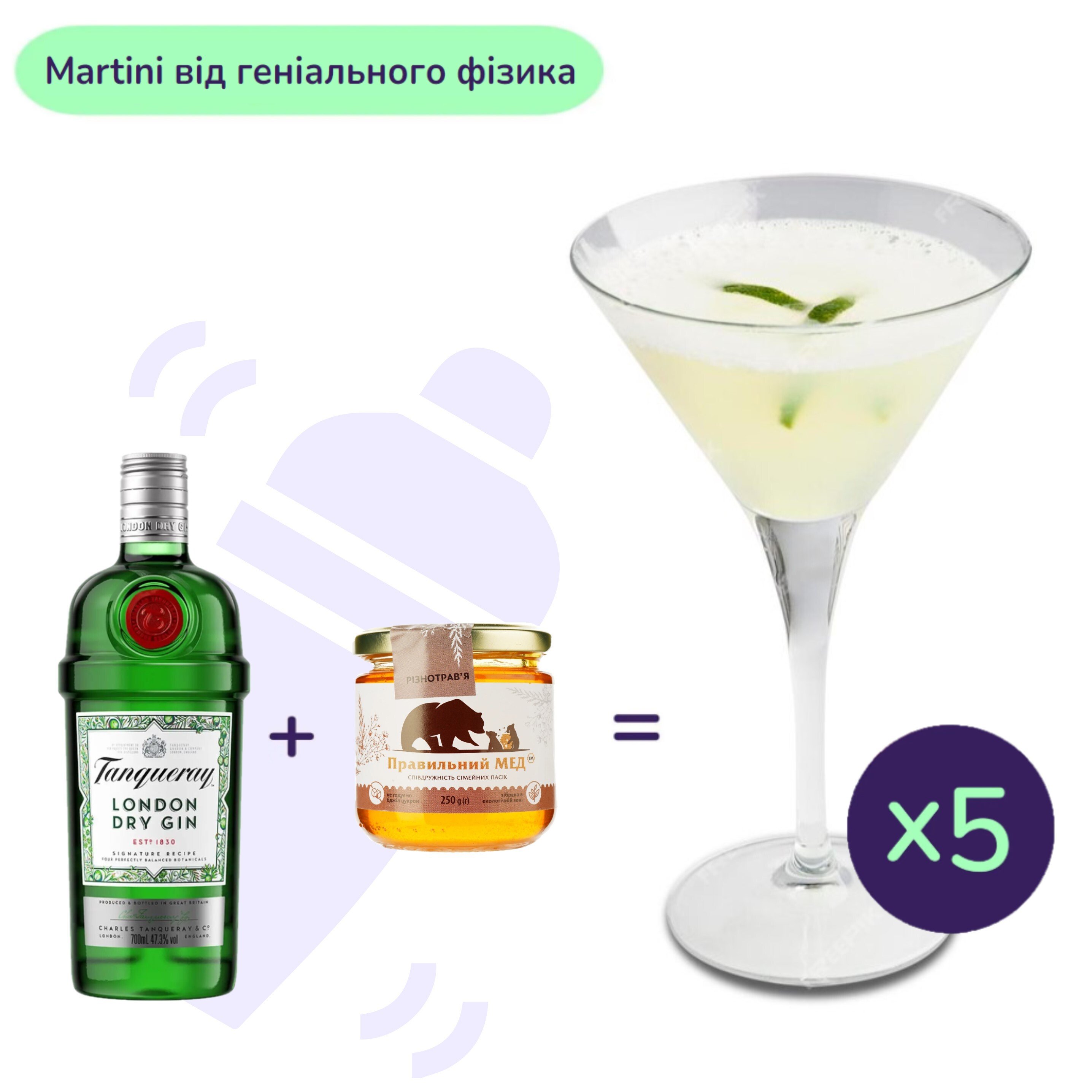 Коктейль Martini від геніального фізика (набір інгредієнтів) х5 на основі Tanqueray - фото 1