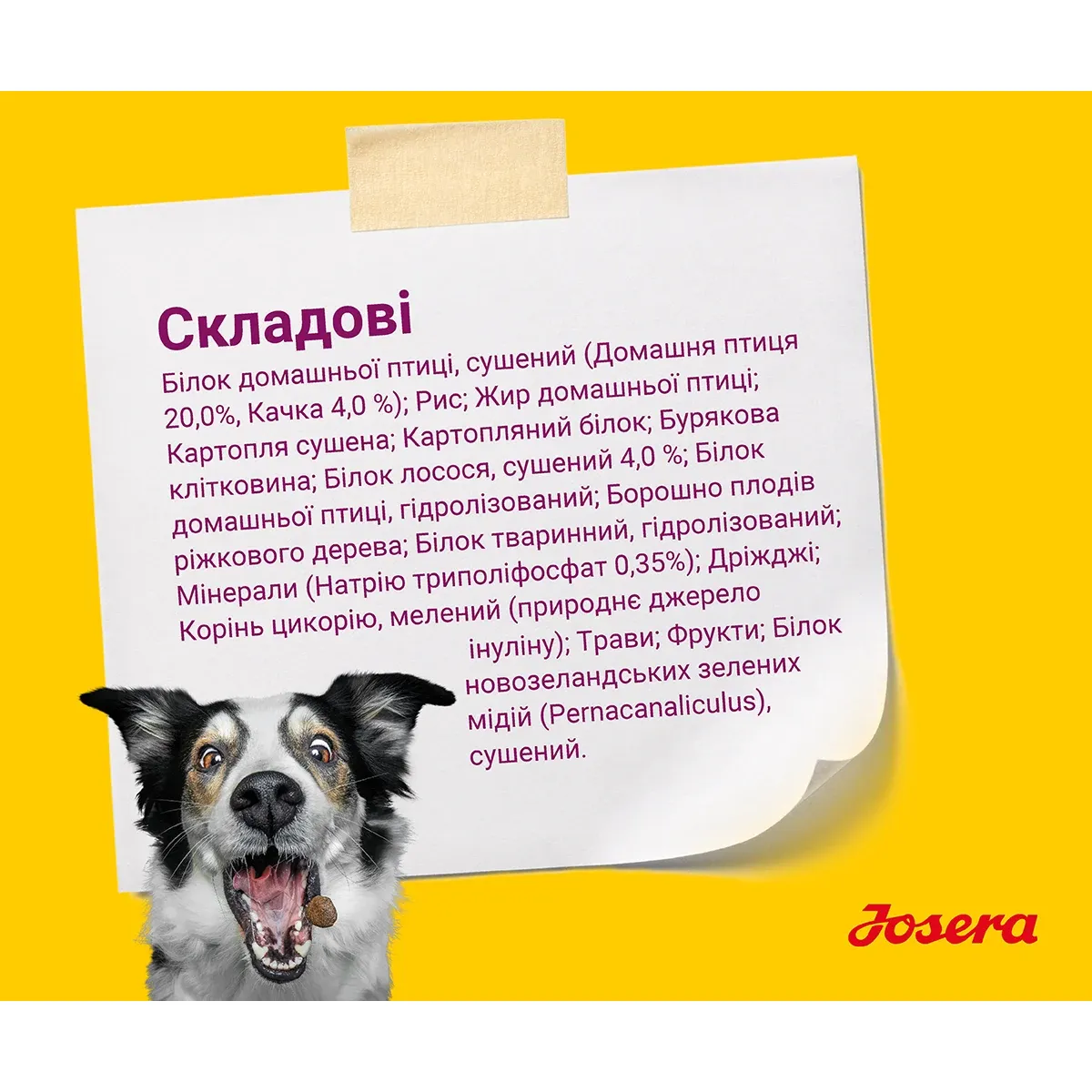 Сухий корм для собак Josera Mini Junior 10 кг - фото 4