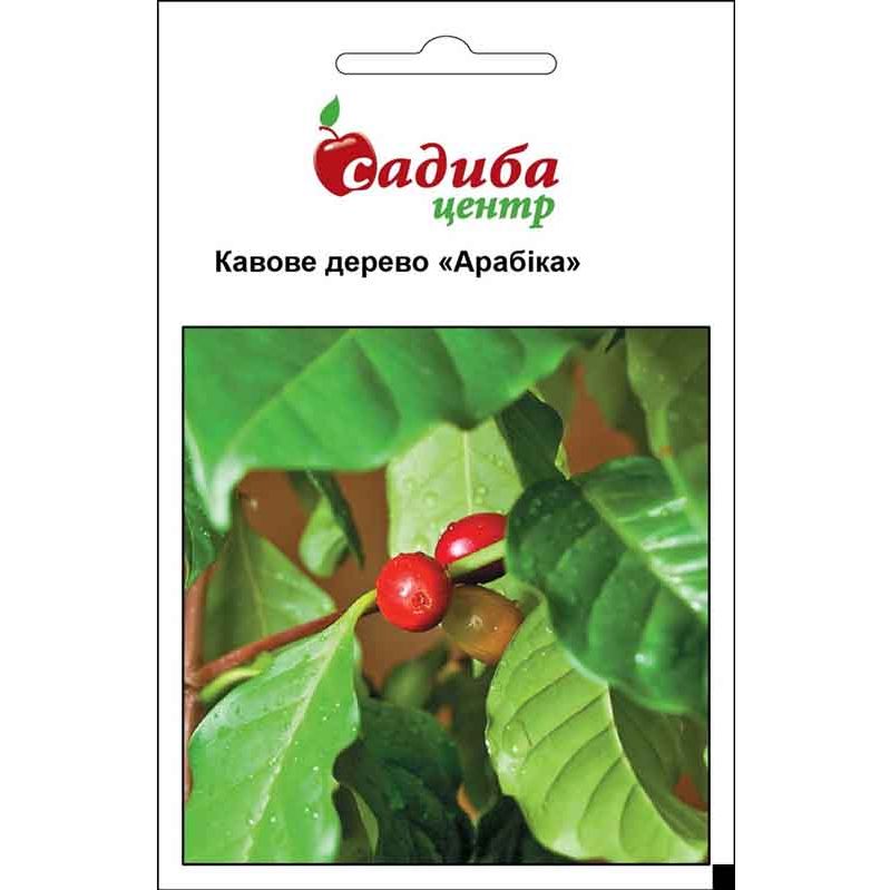 Семена Садиба Центр Кофейное дерево Арабика 5 шт. (000016239) - фото 1