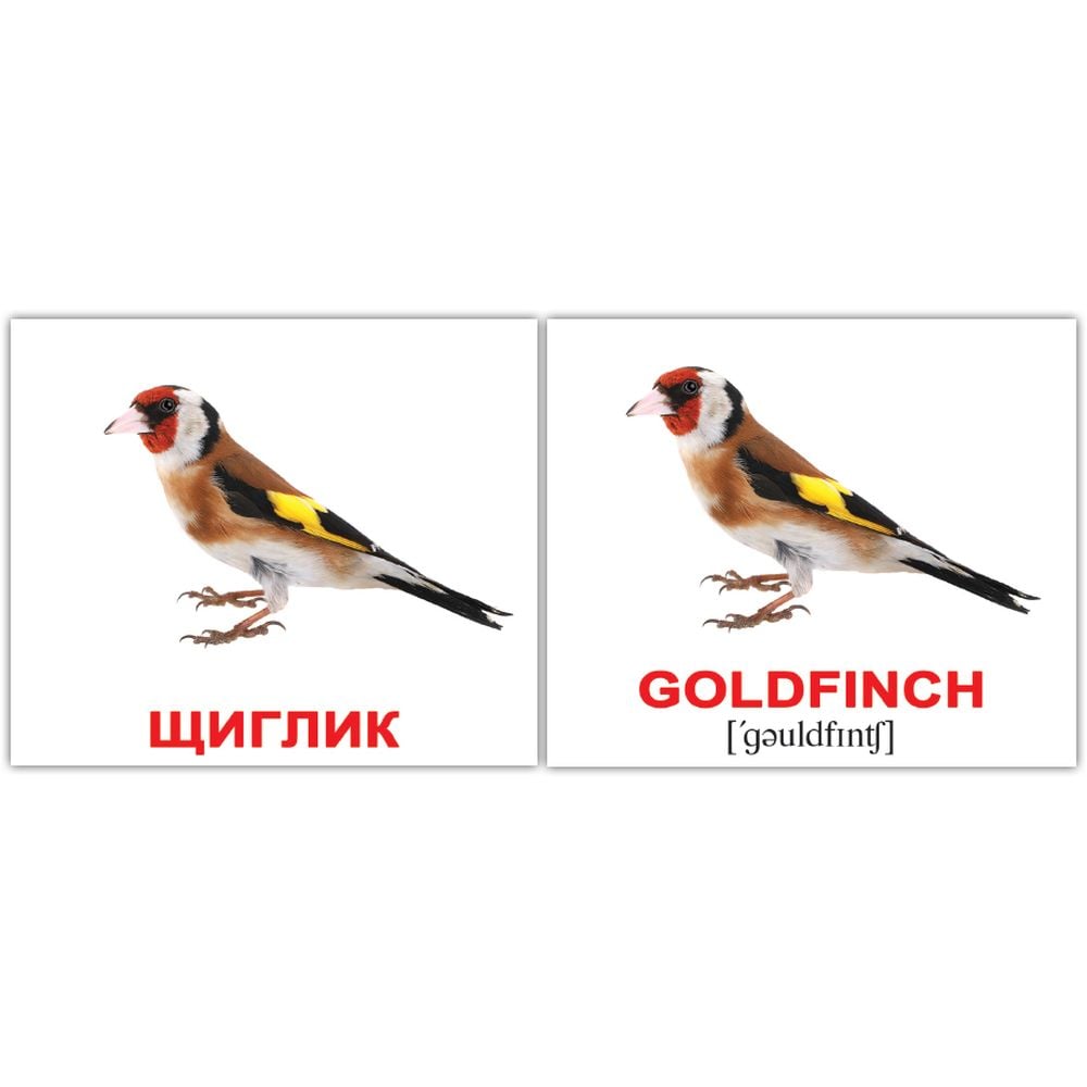 Набір карток Вундеркінд з пелюшок Птахи/Birds, укр.-англ. мова, 40 шт. - фото 2