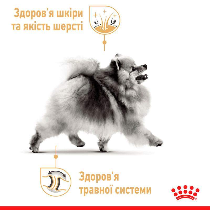 Сухой корм для взрослых собак породы Померанский шпиц Royal Canin Pomeranian Adult, с птицей, 500 г (1255005) - фото 3