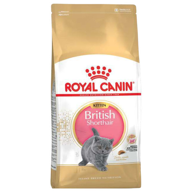 Сухий корм для британських кошенят Royal Canin Kitten British, 10 кг (2566100) - фото 1