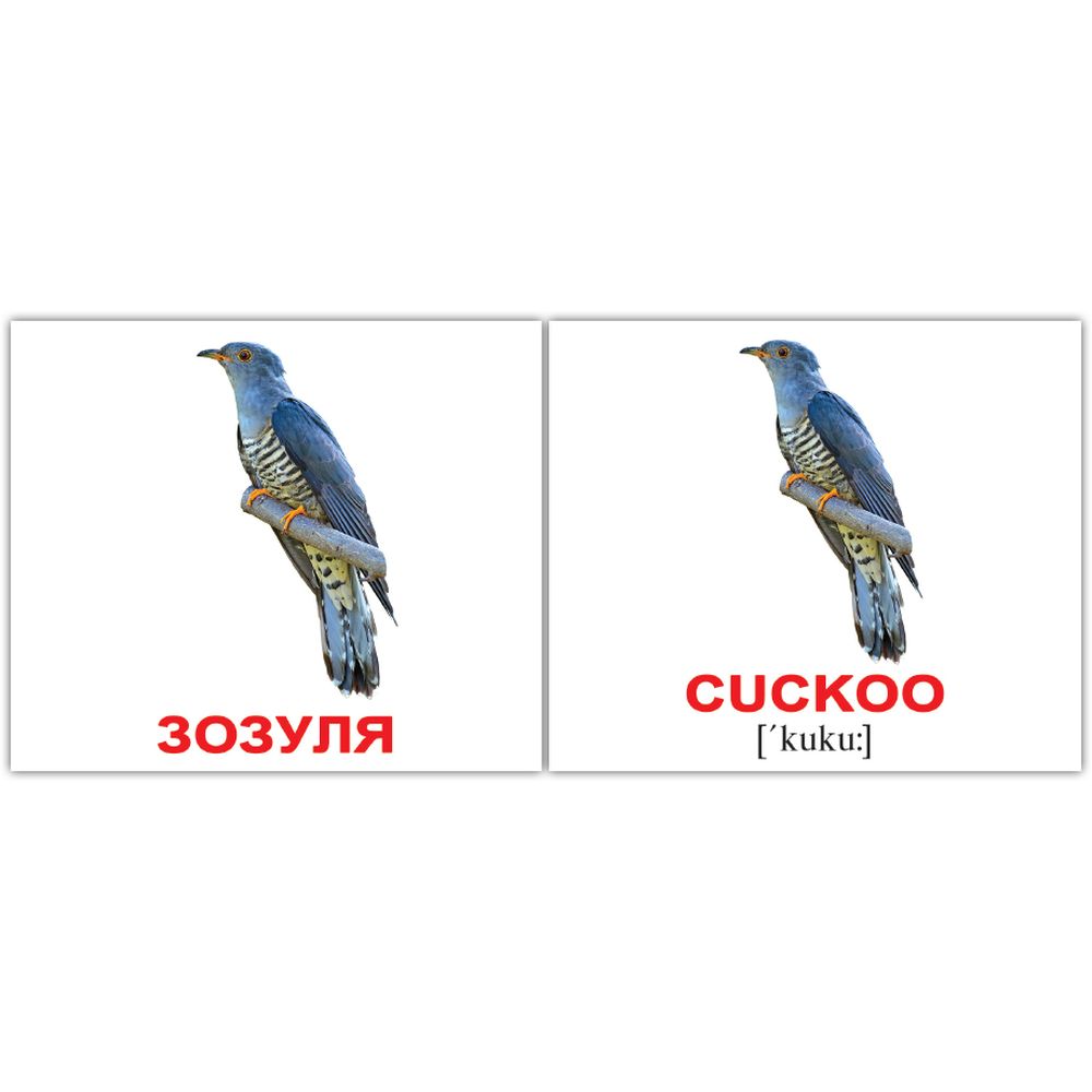 Набор карточек Вундеркинд с пеленок Птицы/Birds, укр.-англ. язык, 40 шт. - фото 4