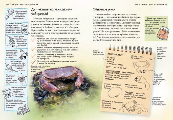 Книга Ранок Стежками природи. Океанічні й морські узбережжя - Сара Кортольд (С791002У) - фото 7