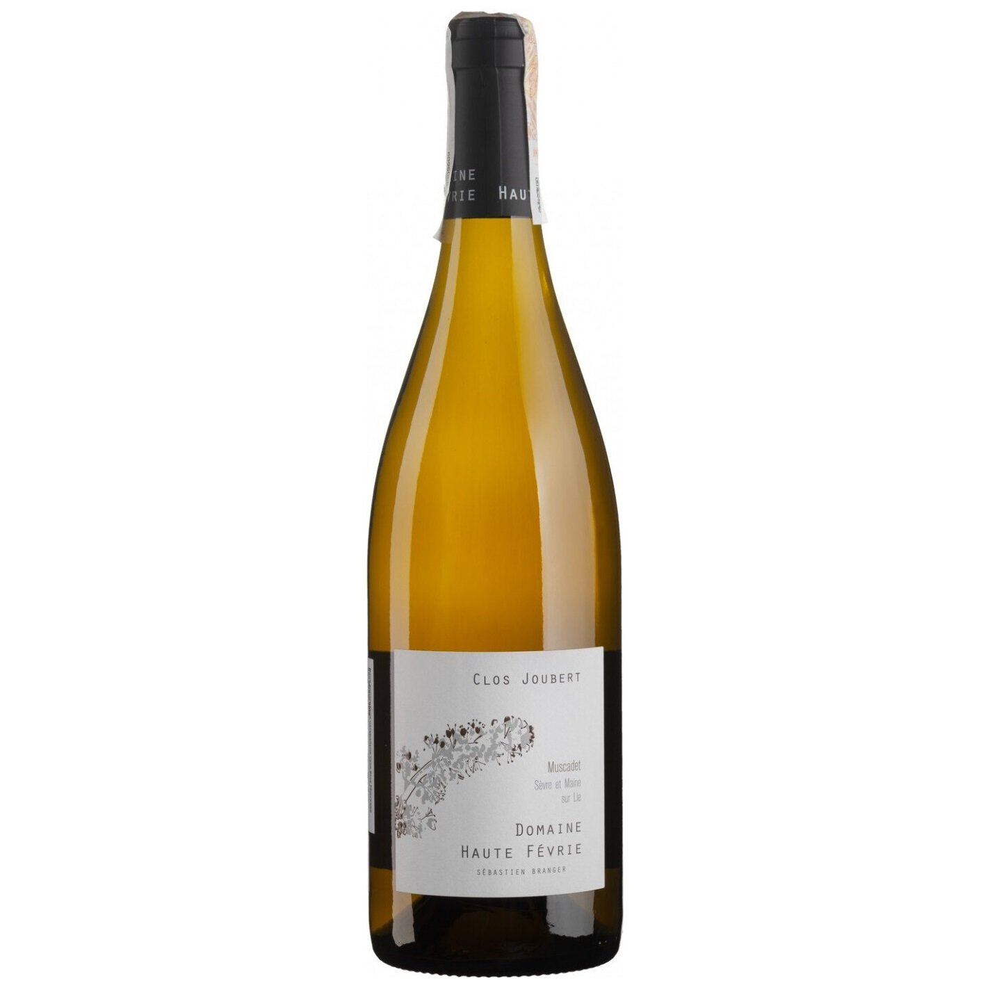Вино Domaine Haute Fevrie Muscadet Clos Joubert, біле, сухе, 13,2%, 0,75 л (94365) - фото 1
