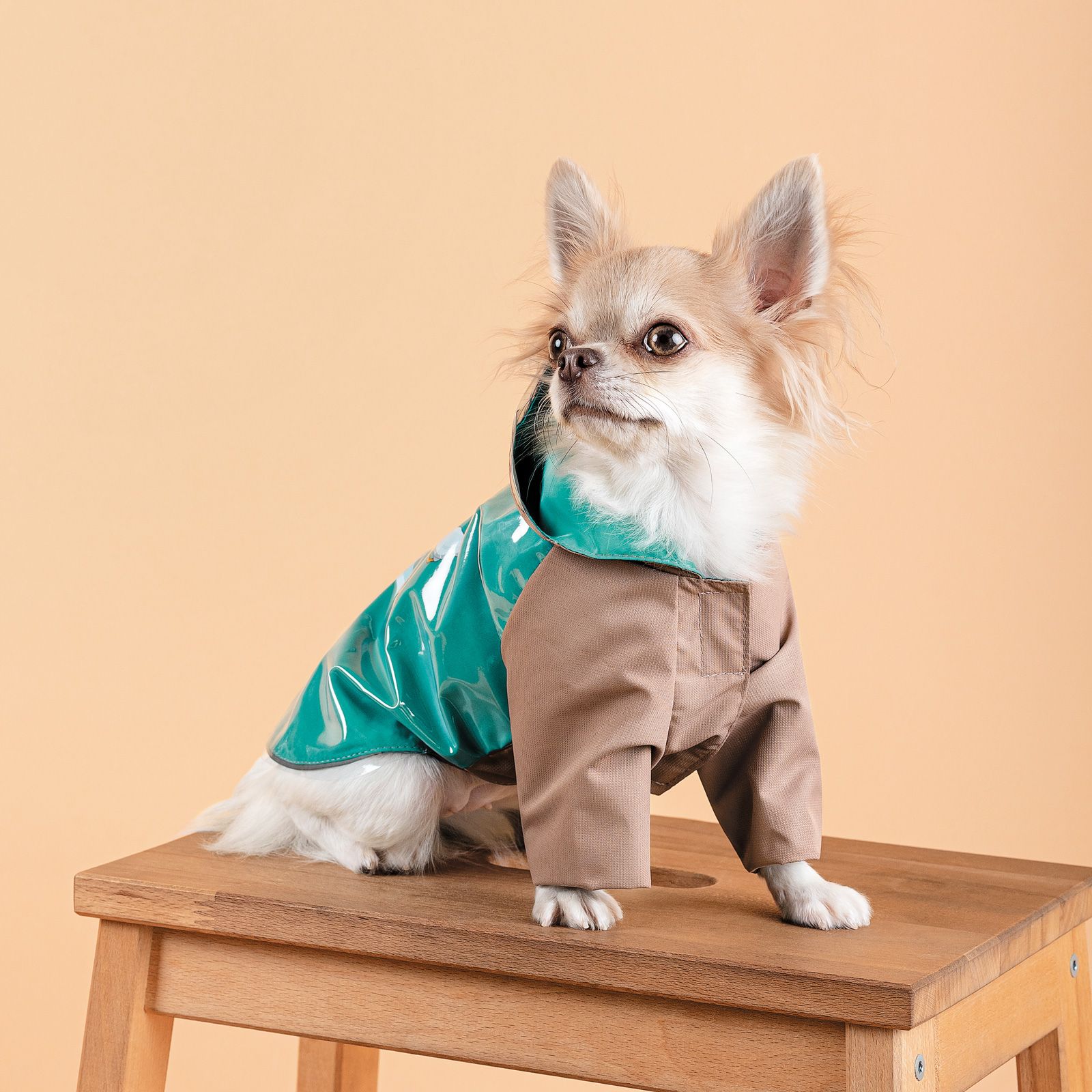 Дождевик для собак Pet Fashion Semmy S морская волна-капучиновый - фото 6