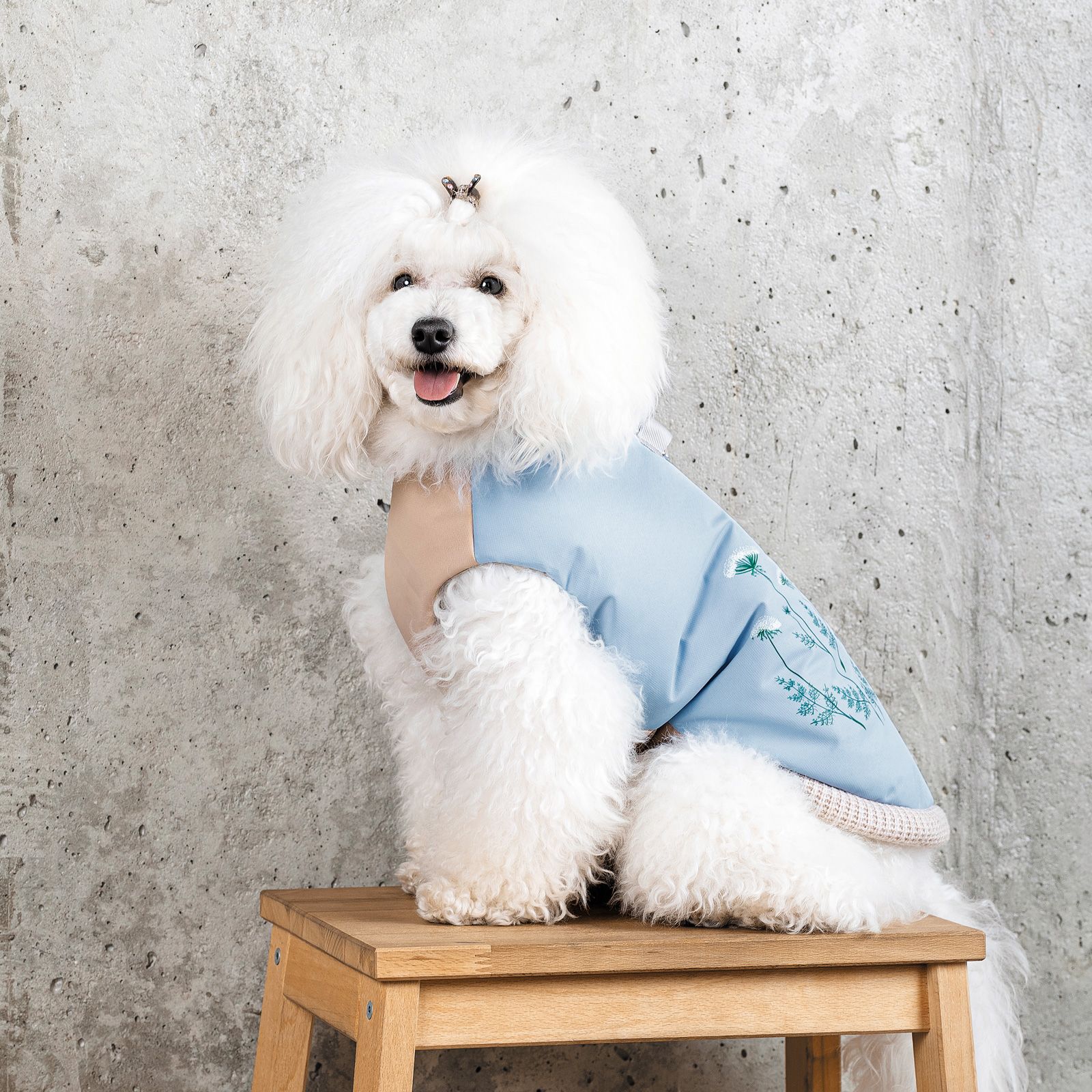 Жилет для собак Pet Fashion Kris L капучіново-блакитний - фото 5