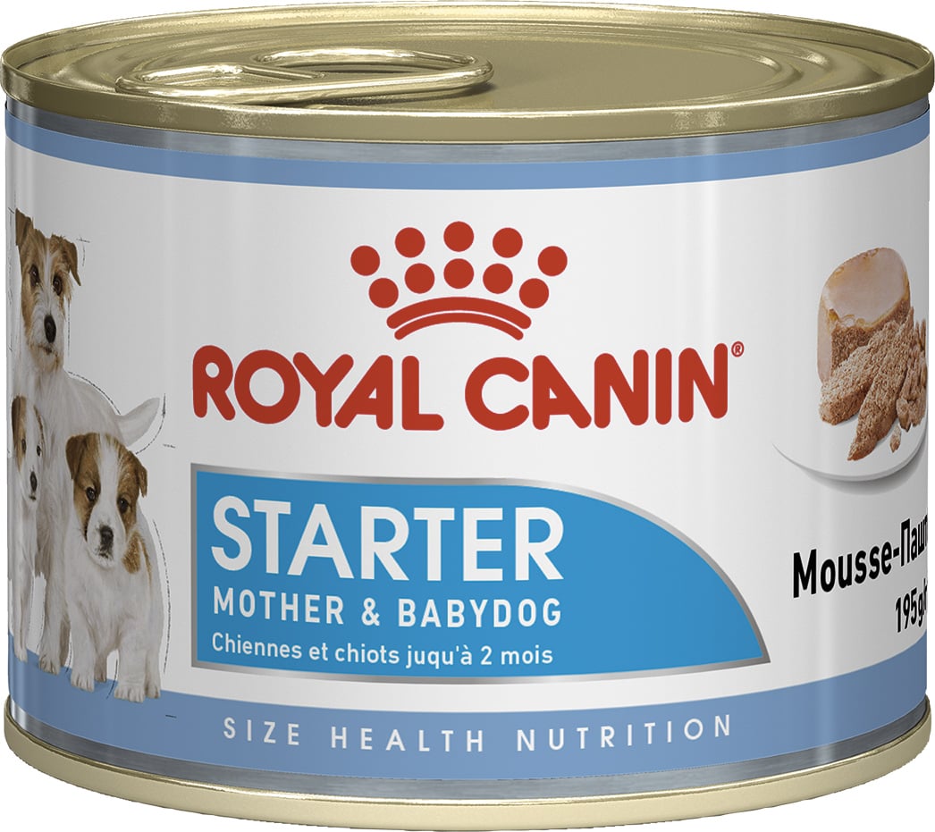 Влажный корм для беременных собак и щенков Royal Canin Starter Мother & Вabydog Мousse, мясо со злаками, 195 г - фото 1