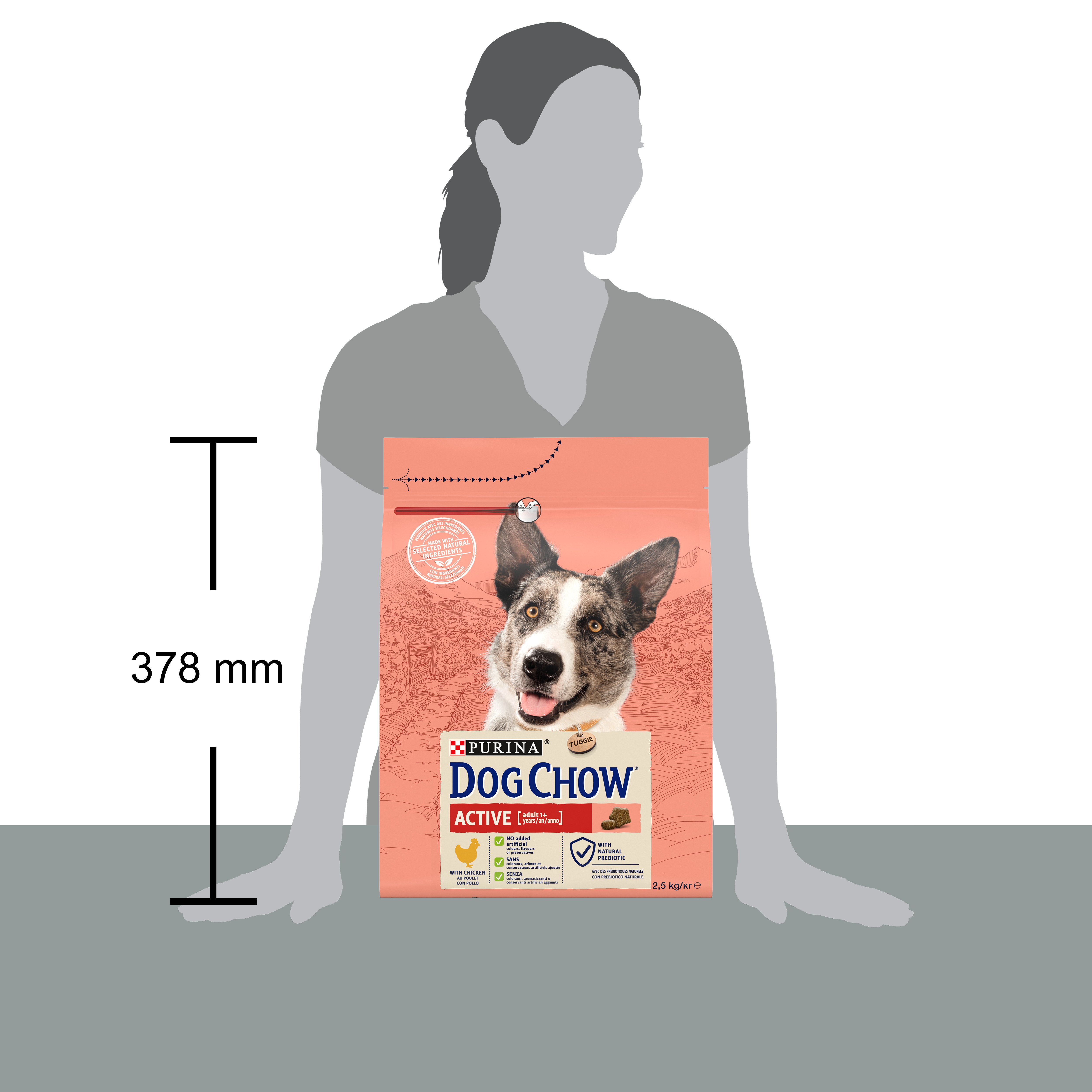 Сухий корм для собак з підвищеною активністю Dog Chow Active Adult 1+, з куркою, 2,5 кг - фото 4