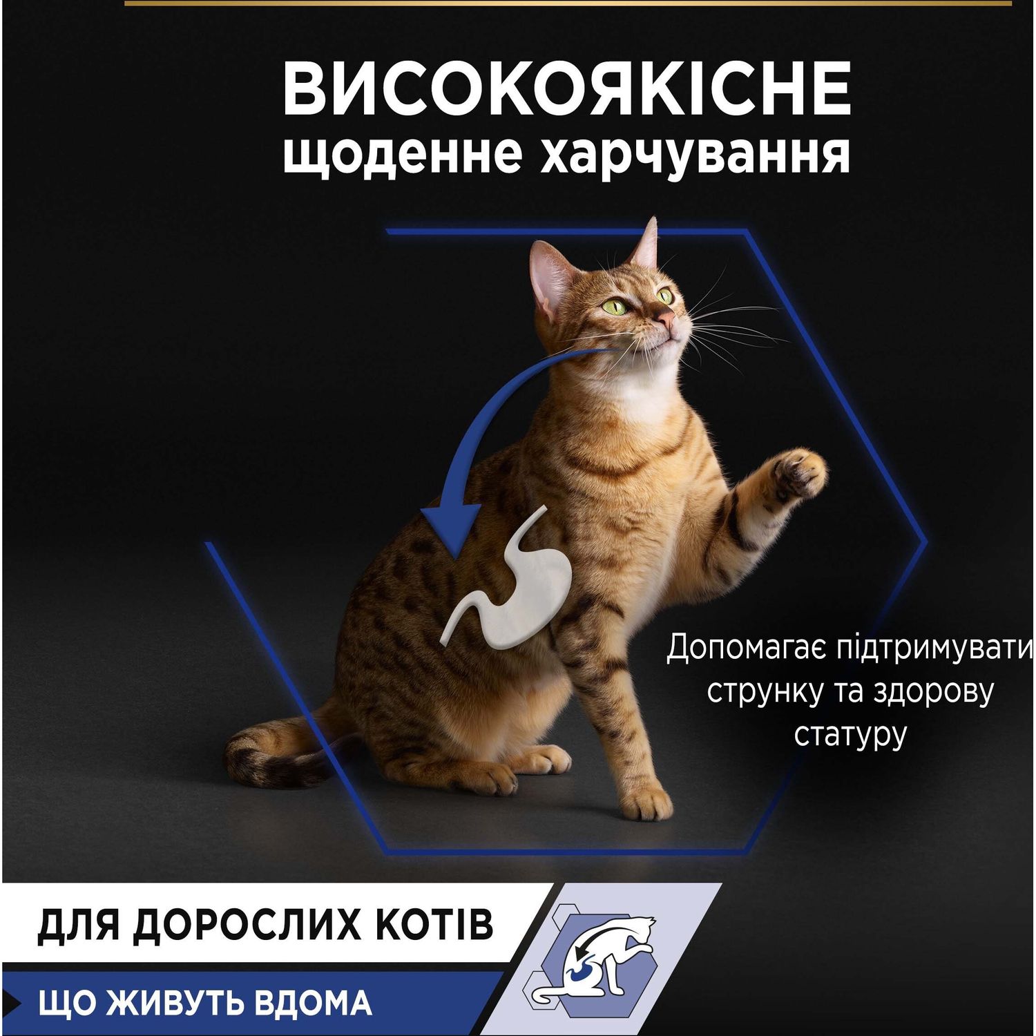 Вологий корм для домашніх дорослих котів Purina Pro Plan Adult Indoor з лососем 85 г (12457618) - фото 8