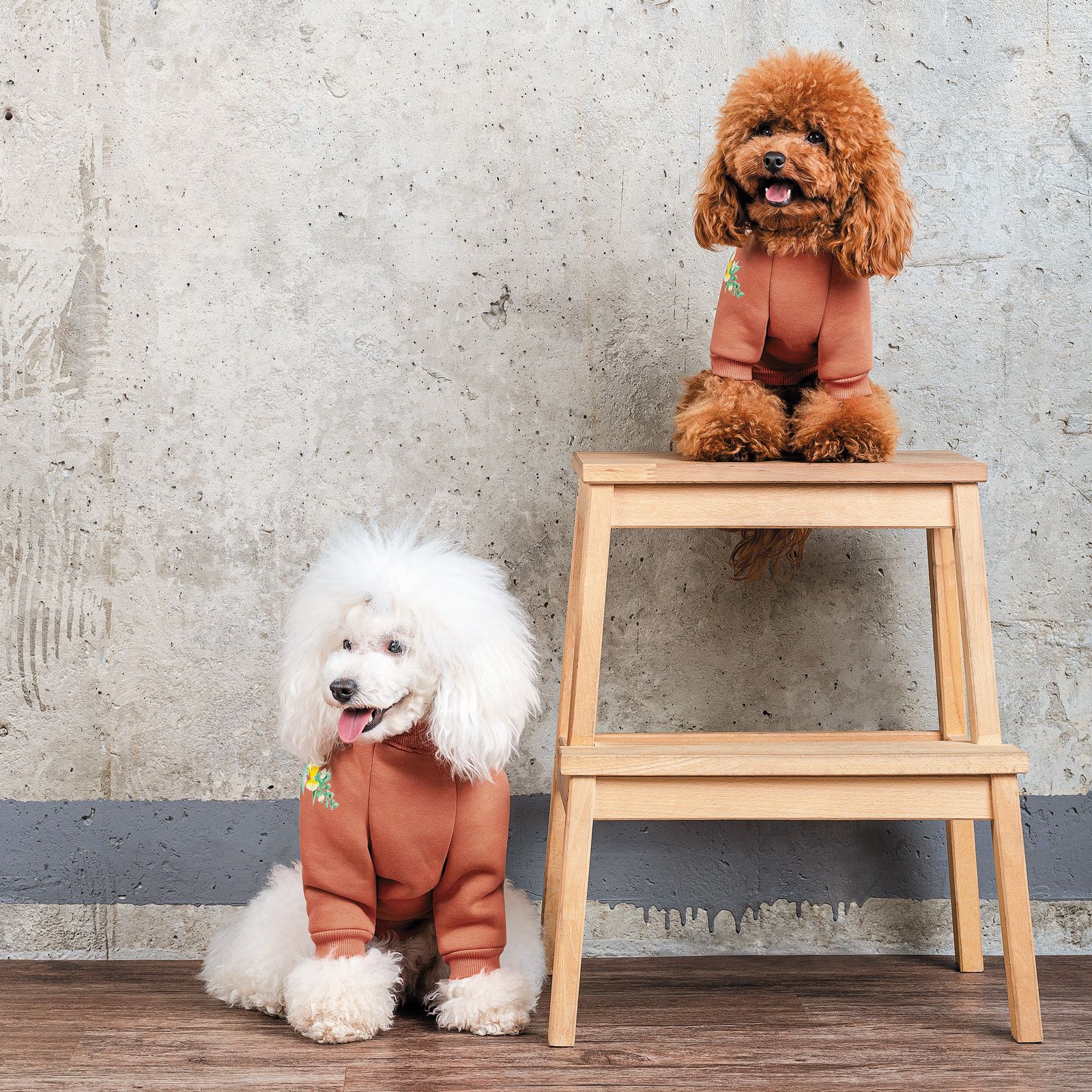 Толстовка для собак Pet Fashion Miley XS2 коричневая - фото 5