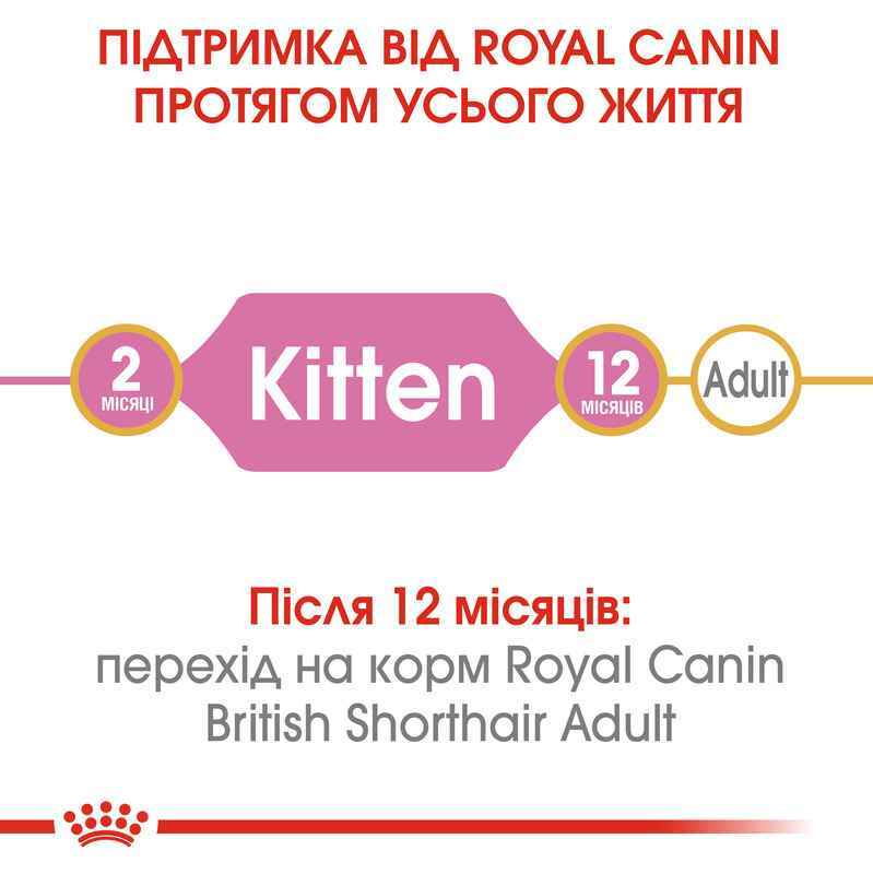 Сухий корм для британських короткошерстих кошенят Royal Canin British Shorthair Kitten, з м'ясом птиці, 2 кг - фото 3