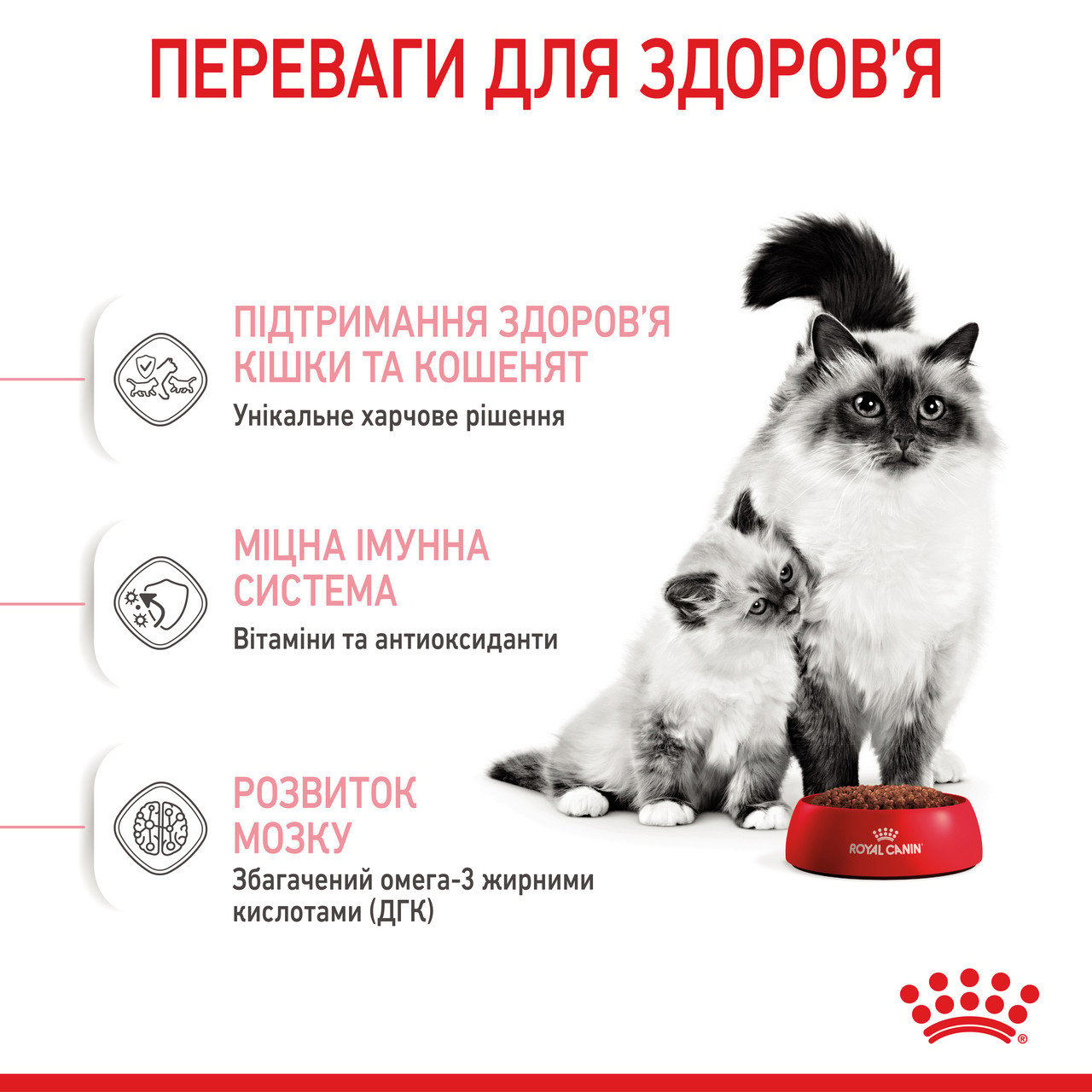 Сухий корм для кошенят Royal Canin Mother and Babycat, м'ясо птиці та рис, 0,4 кг - фото 5