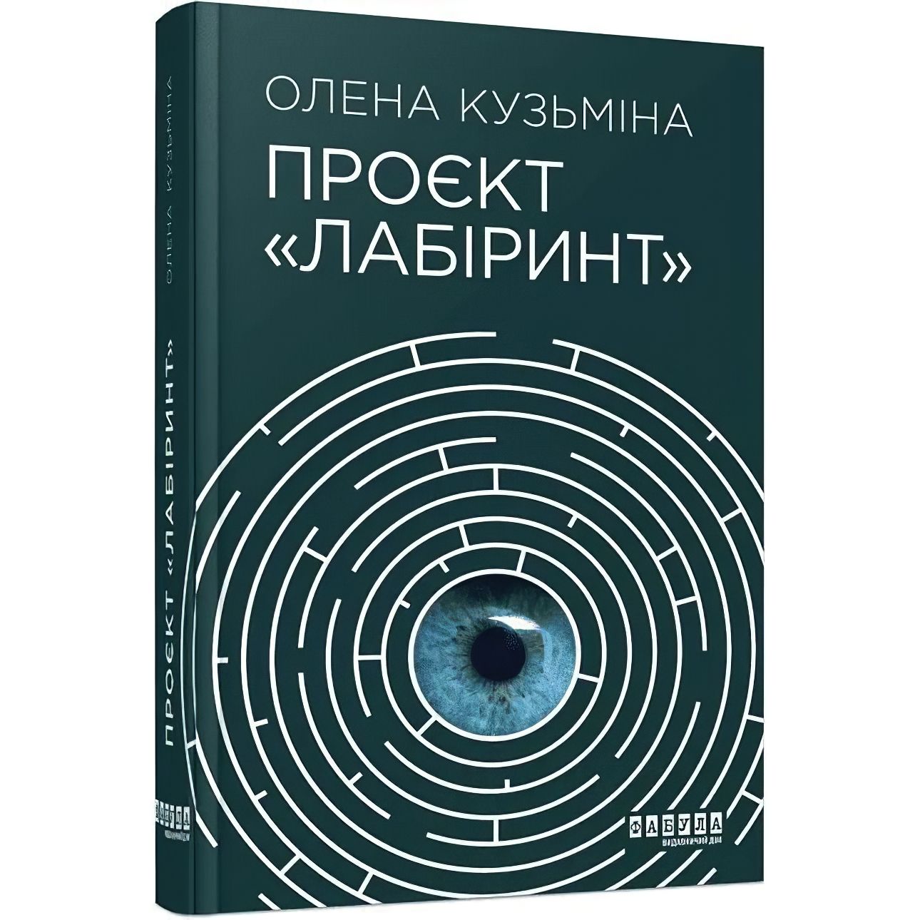 Проєкт Лабіринт - Кузьміна Олена (ФБ1444004У) - фото 1