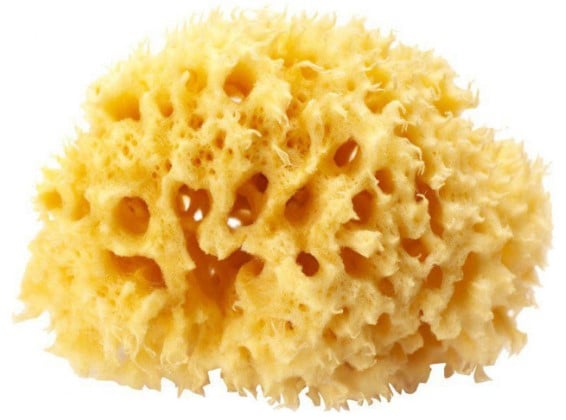 Натуральная губка для ванны OK Baby Silk Fine sea sponge, р.16, желтый (38481600) - фото 1