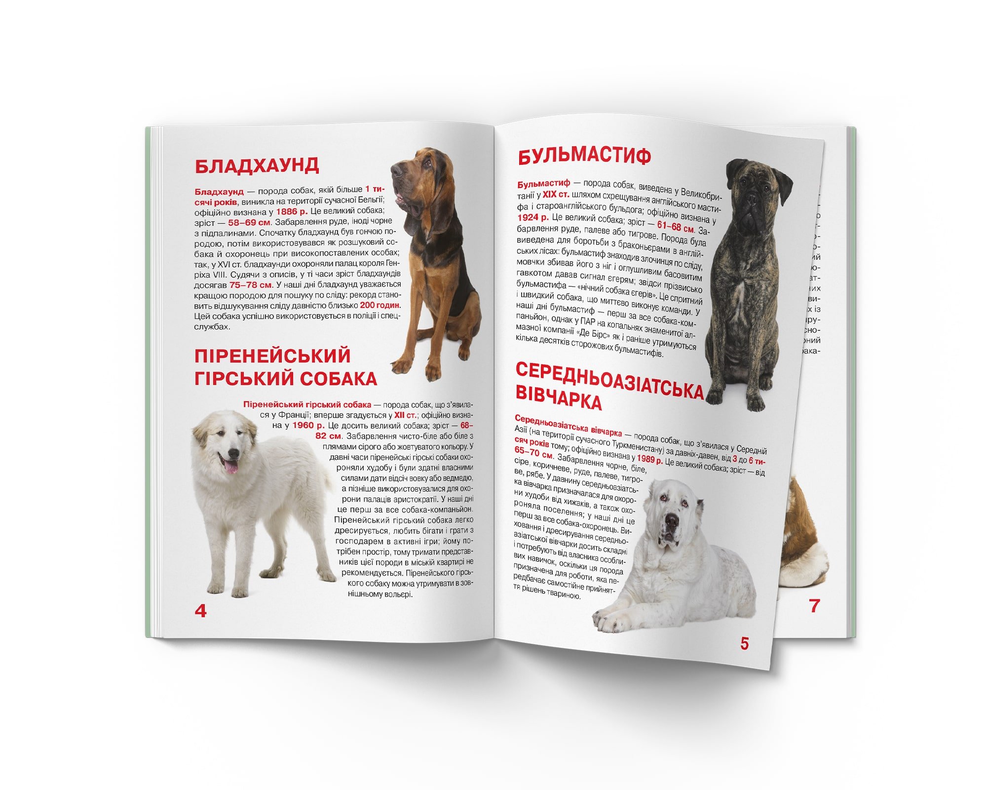 Велика книга Кристал Бук Службові собаки (F00014405) - фото 3