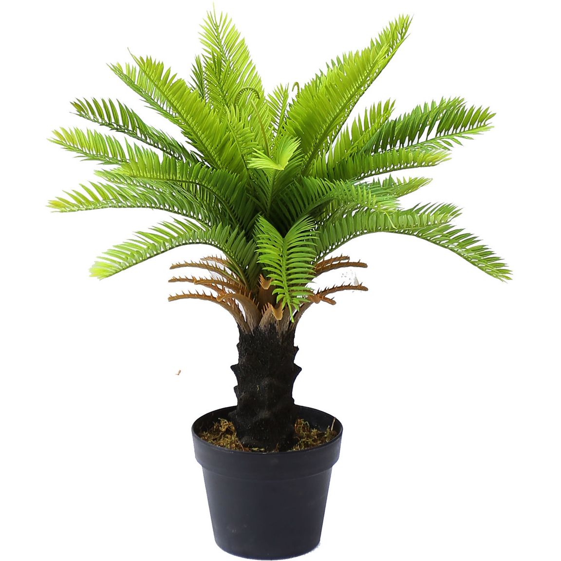 Искусственное растение Cycas Palm 60 см (DW-24) - фото 1