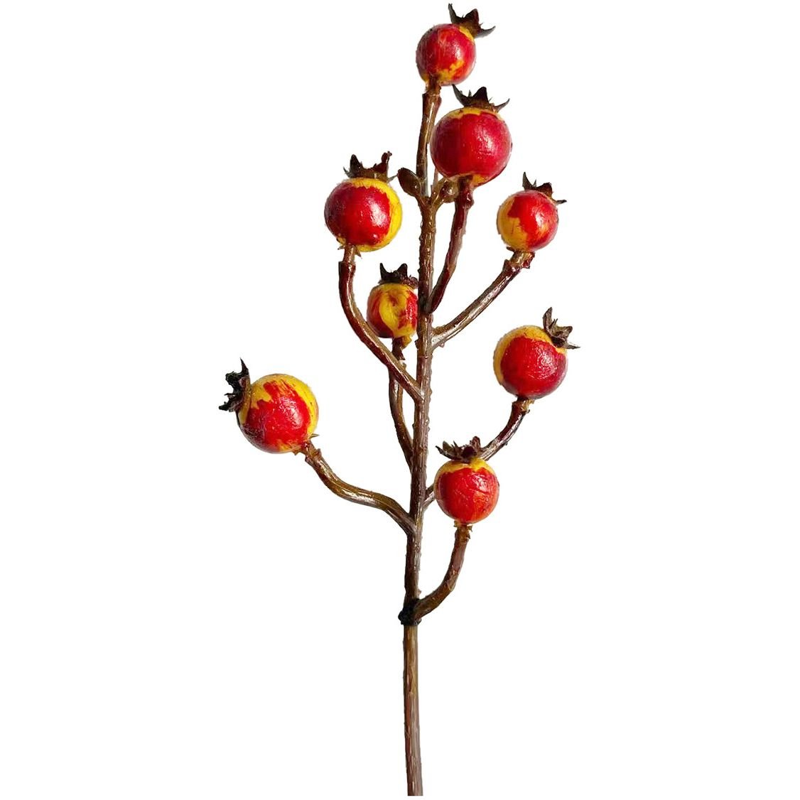 Гілочка декоративна Yes! Fun з осінніми ягодами 22,5 см червона (973923) - фото 1