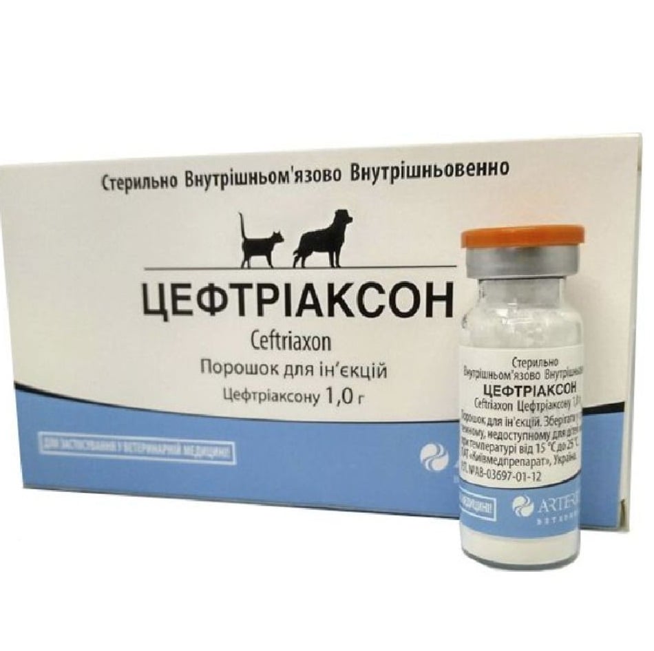 Порошок для инъекций Arterium Цефтриаксон для кошек и собак 1 г - фото 1