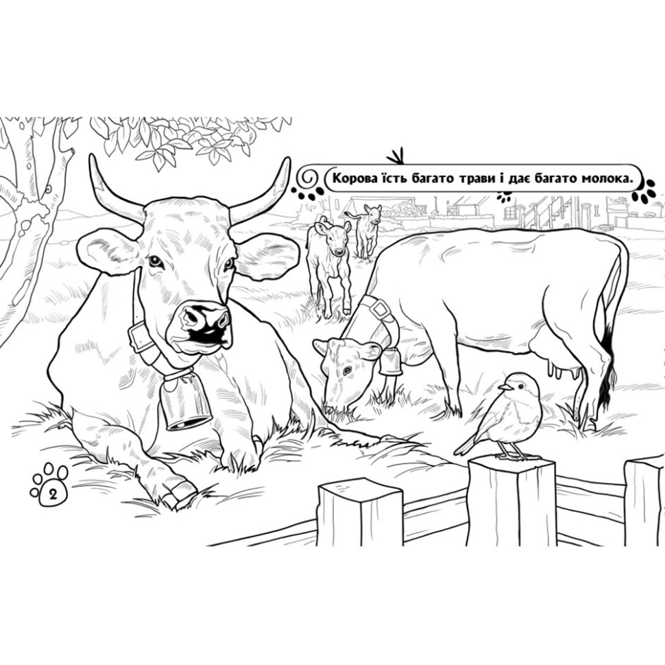Раскраска детская Видавництво Ранок Животные на ферме 16 страниц (583011) - фото 4