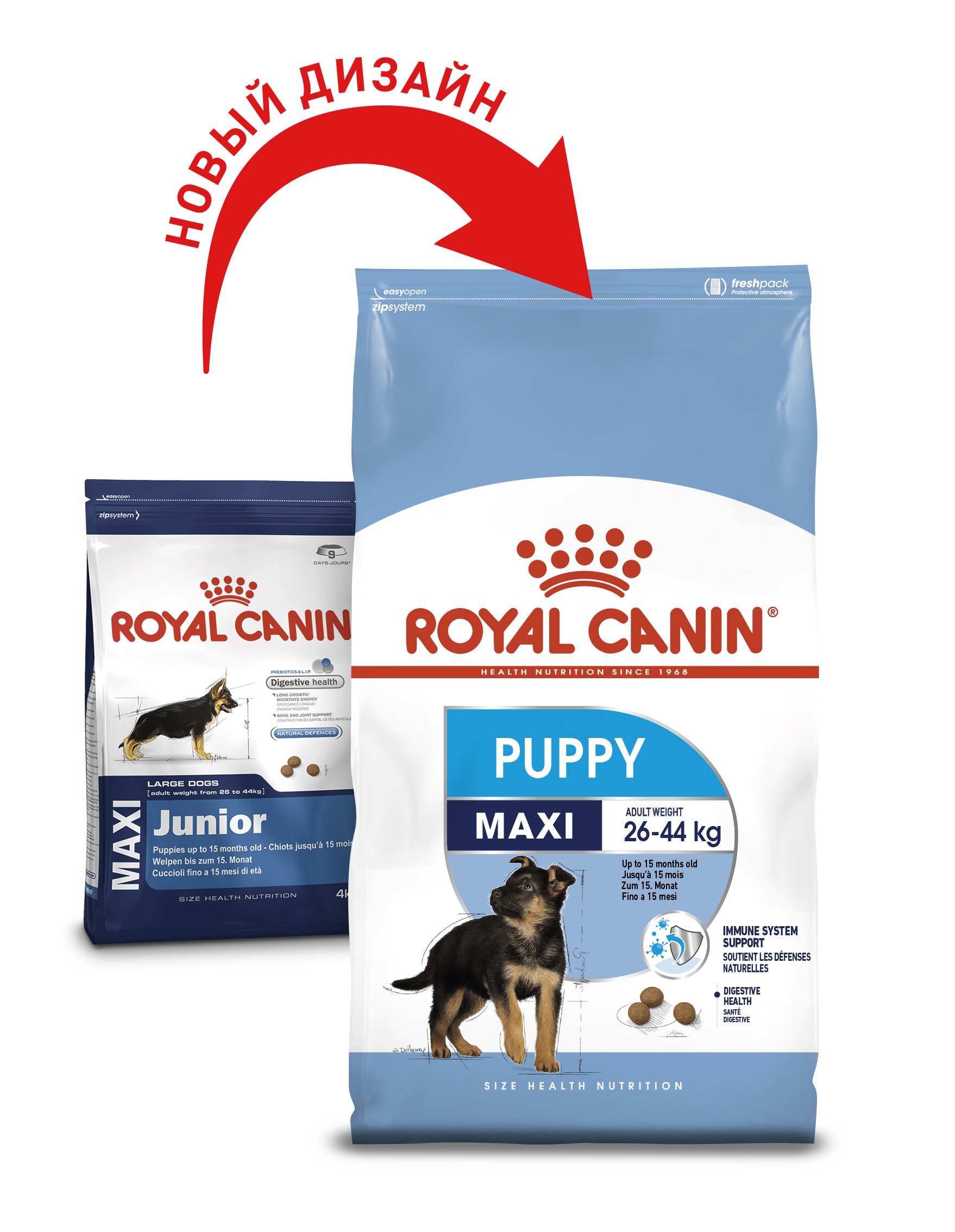 Сухий корм Royal Canin Maxi Puppy для цуценят великих порід, з м'ясом птиці і рисом, 15 кг - фото 2
